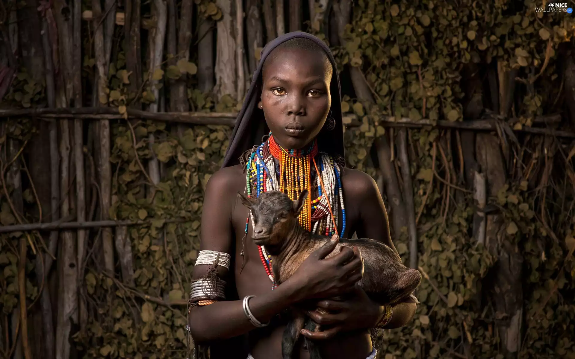 Negress, small, Goat, Ethiopian