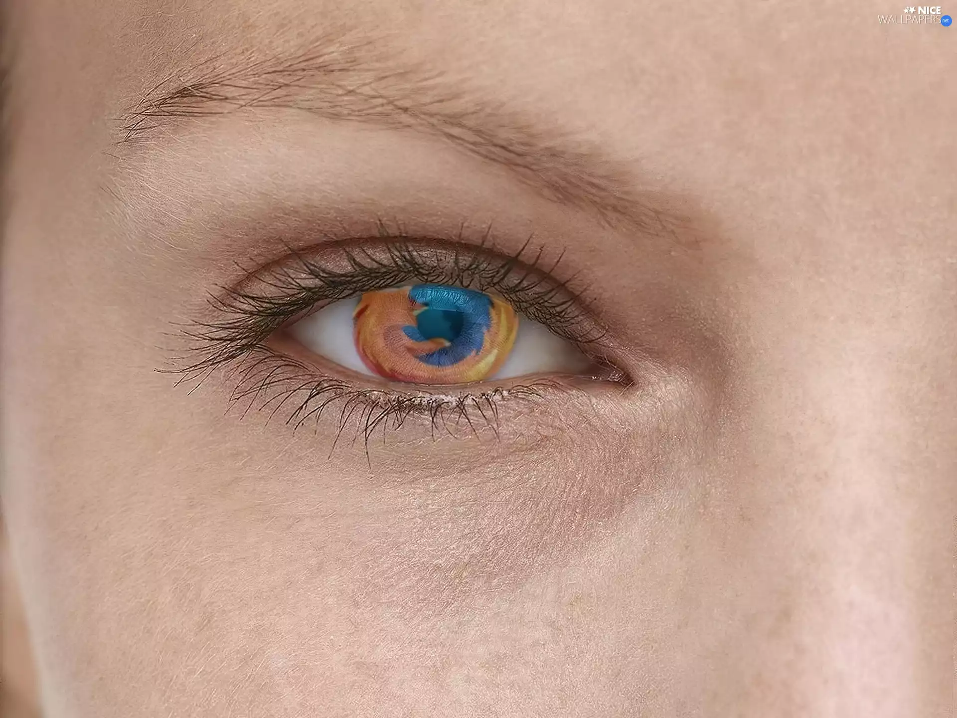 eye, FireFox, logo