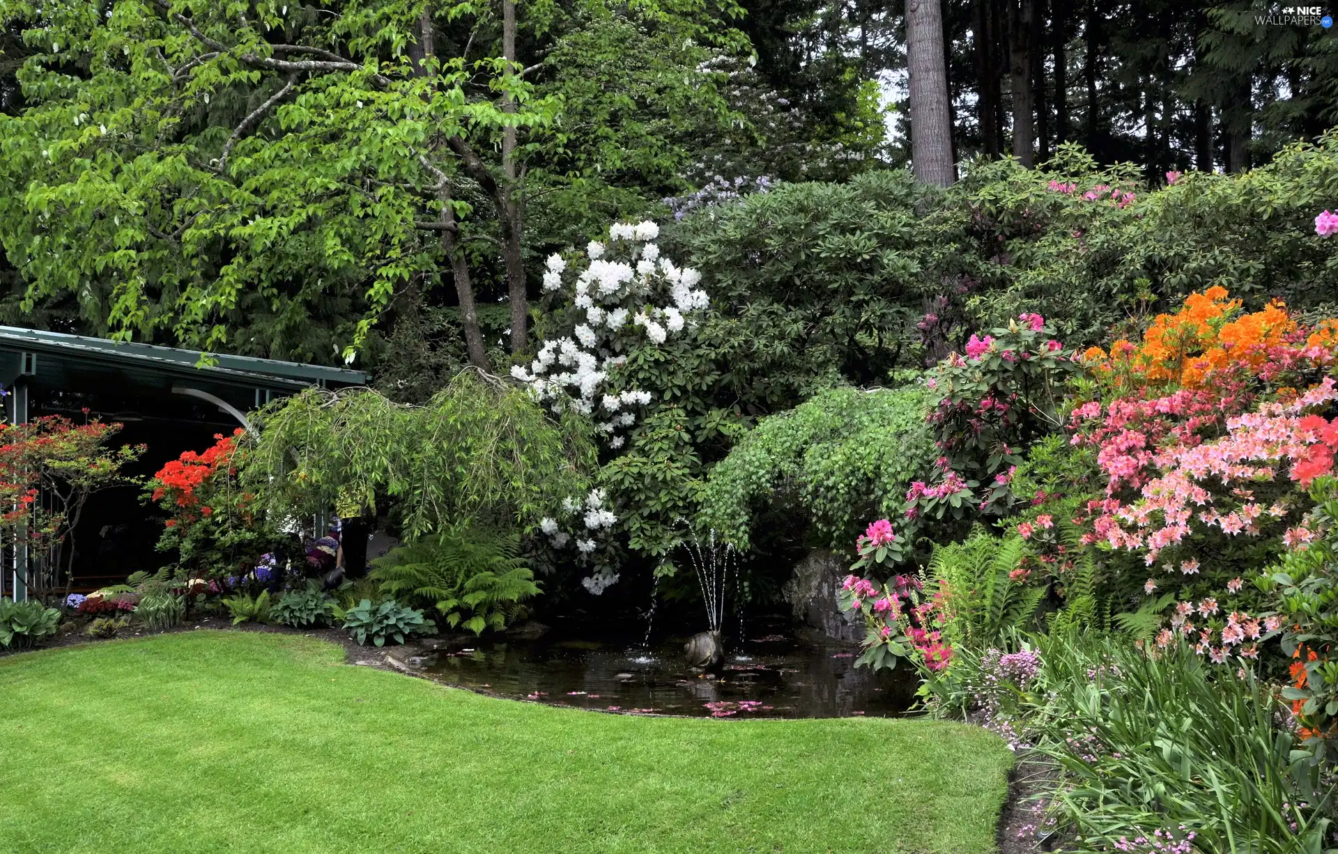 flourishing, Garden, eye, water, Bush, beatyfull