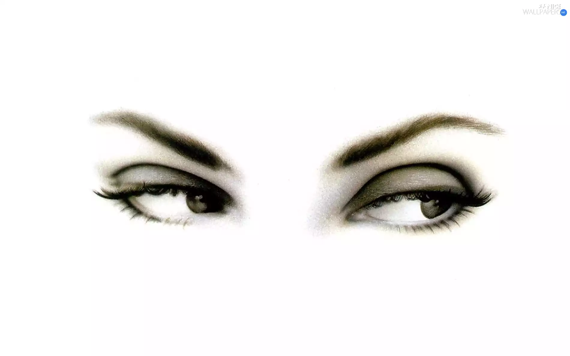 eyebrows, Women, Eyes