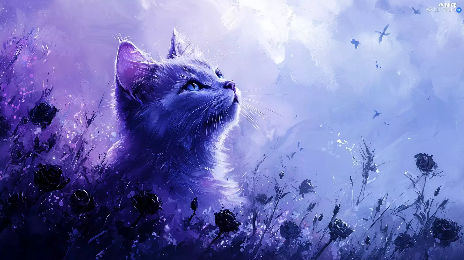 Blue Eyed, Flowers, Ai, cat