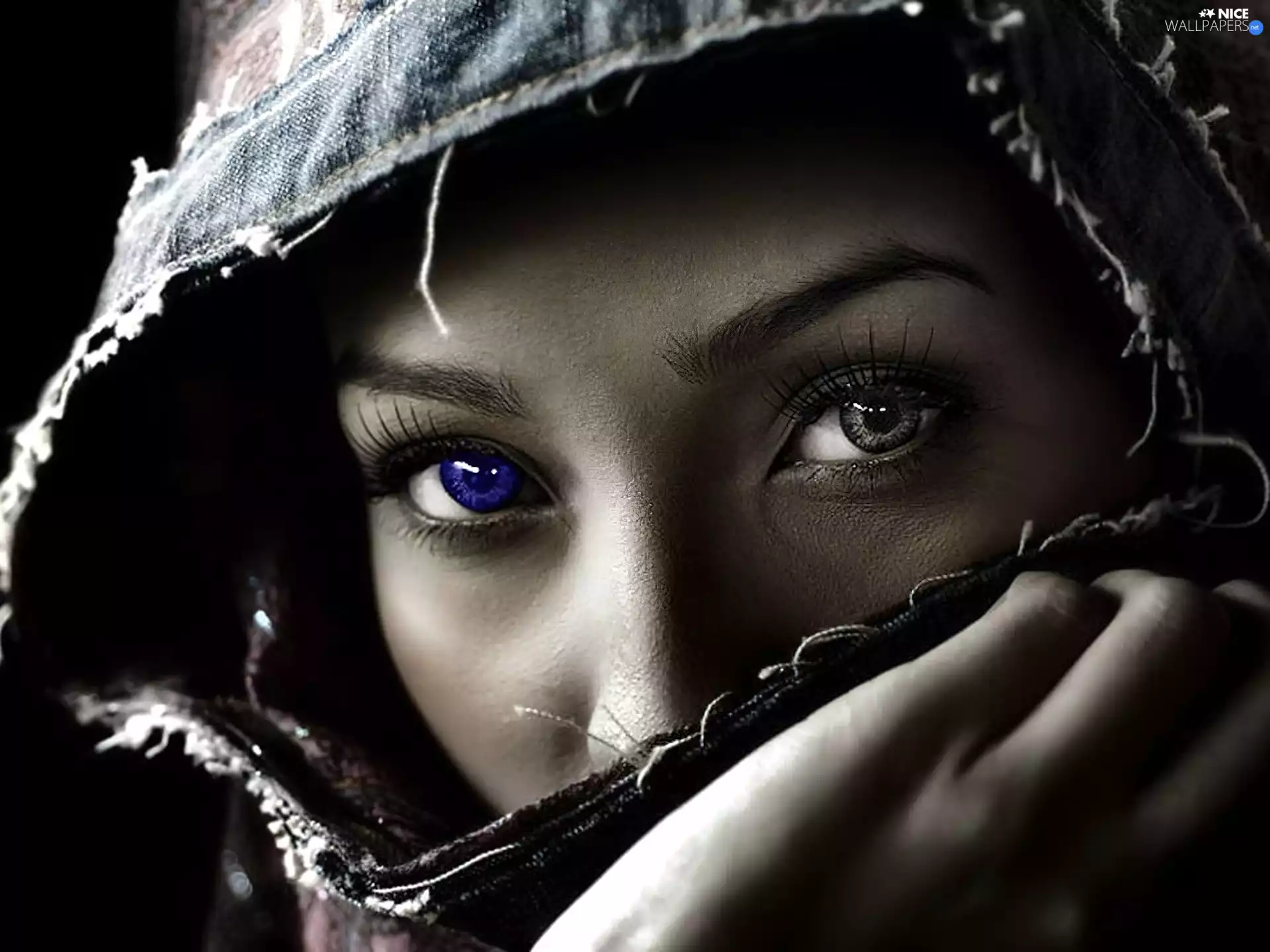 Eyes, Women, color