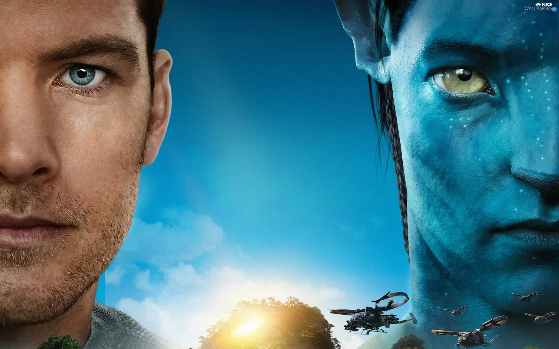 face, Avatar, Halves