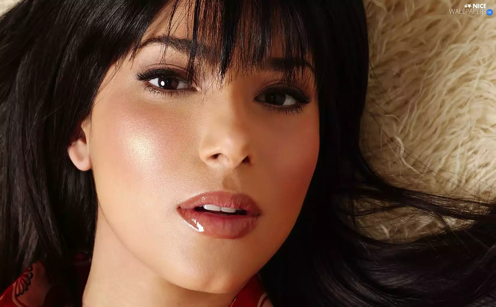 portrait, Roselyn Sanchez, face