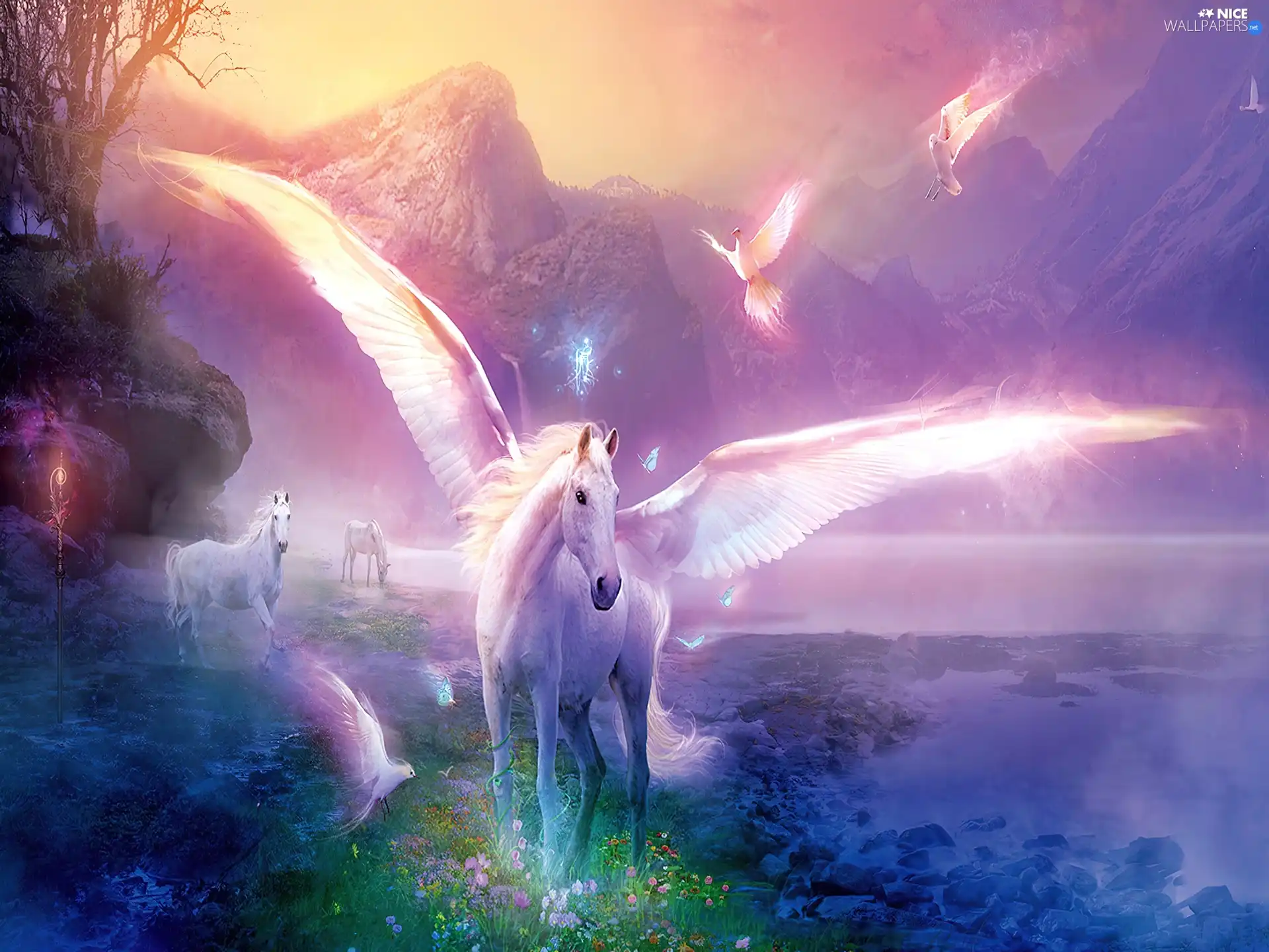Pegasus, fairies