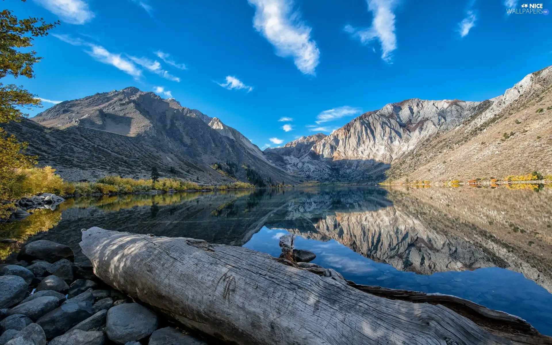 fallen, trees, lake, Stones, Mountains