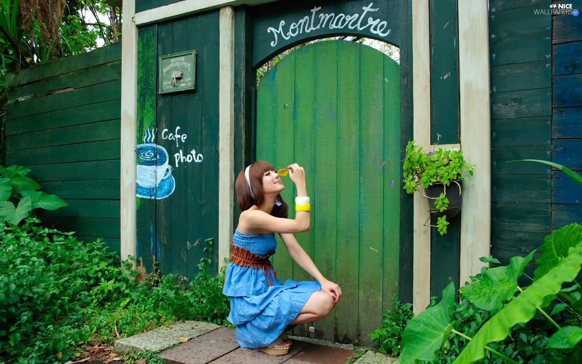 Fance, Doors, VEGETATION, wooden, brunette