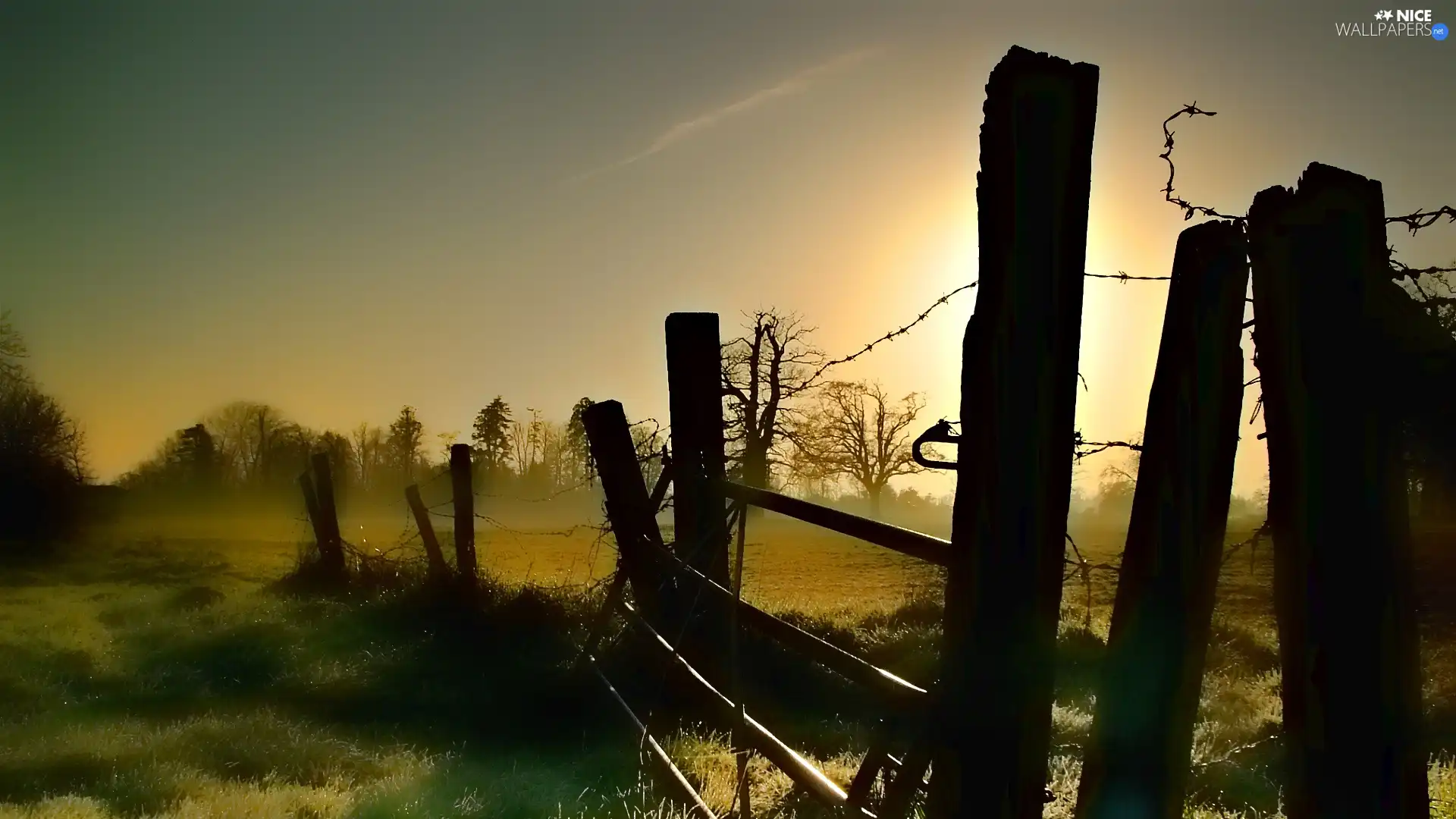 Fog, viewes, rays, Meadow, trees, Fance, sun