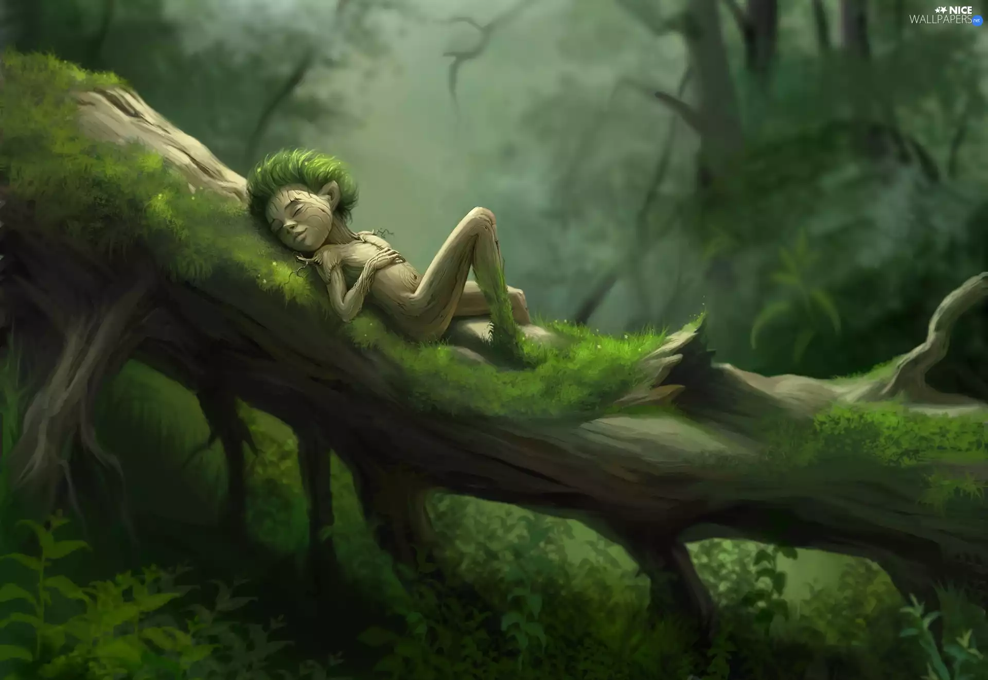 fantasy, trees, elf