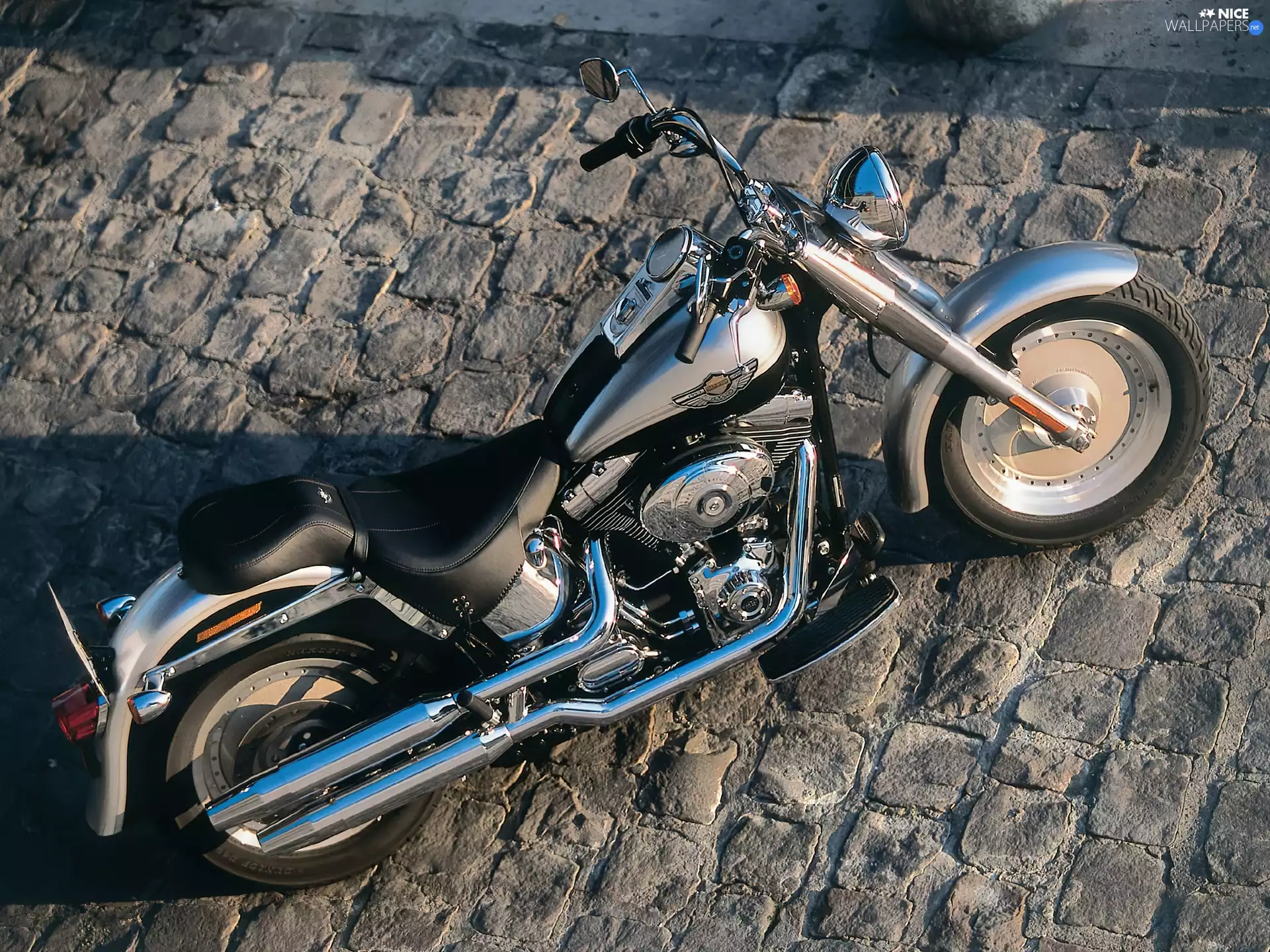 Shelves, Harley Davidson Fat Boy, driver