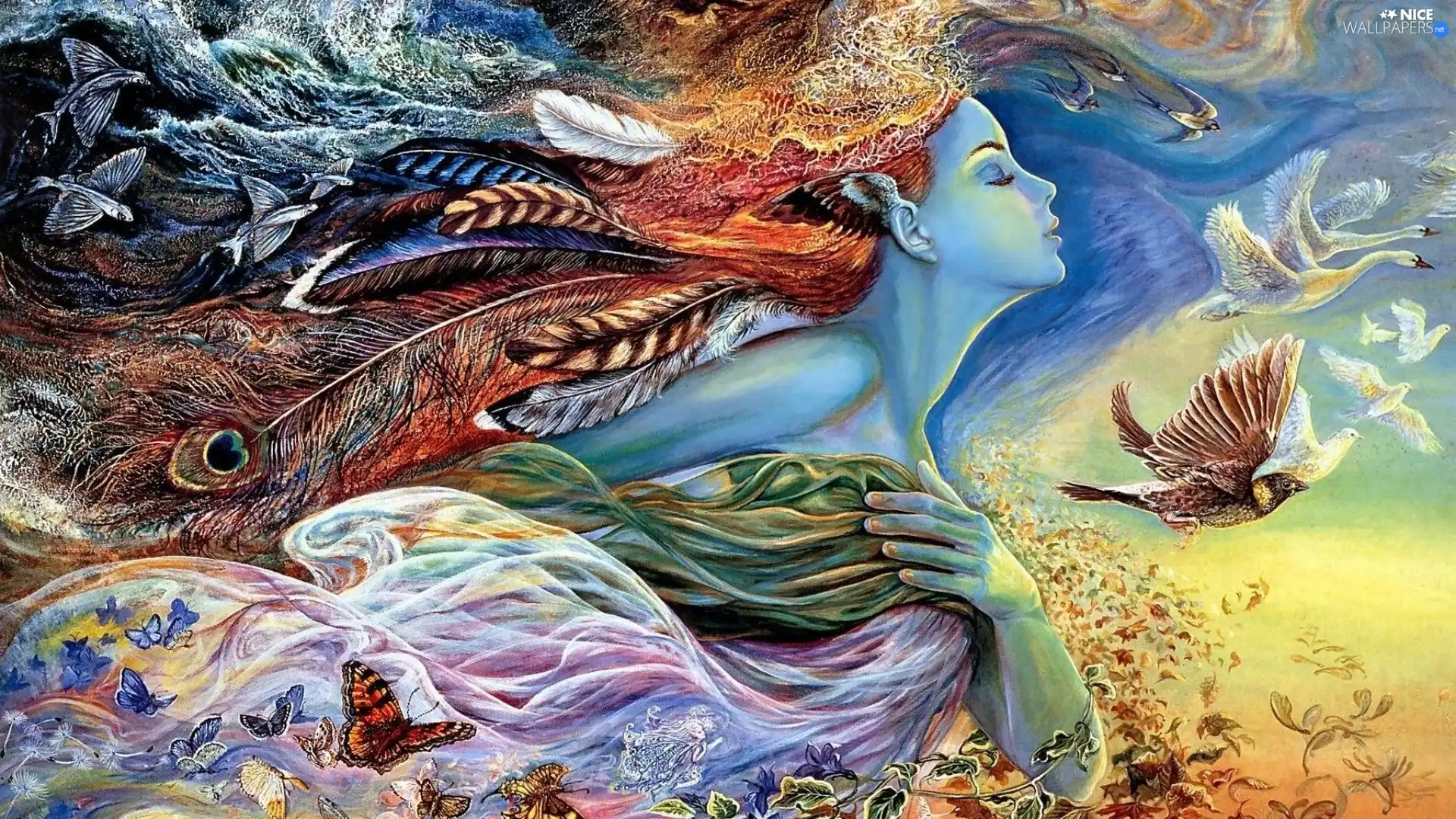 feather, Women, birds