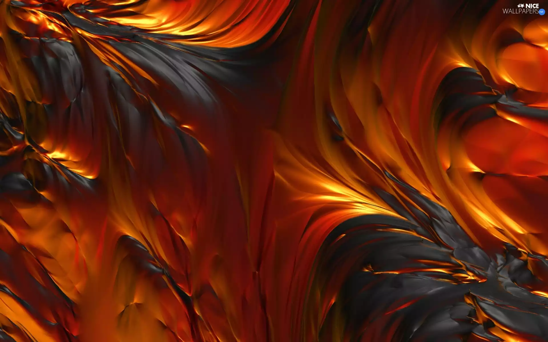 feather, orange, Black