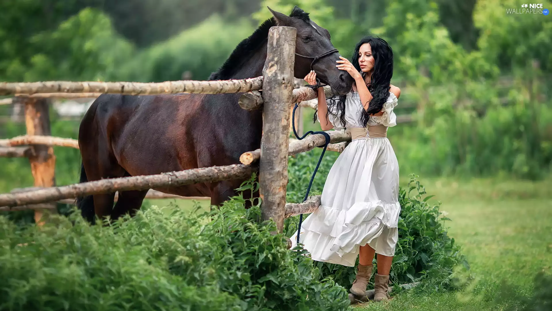 White, Women, Horse, fence, dress, brunette