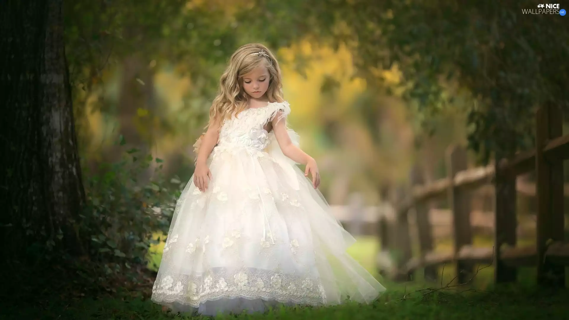grass, fence, dress, trees, girl