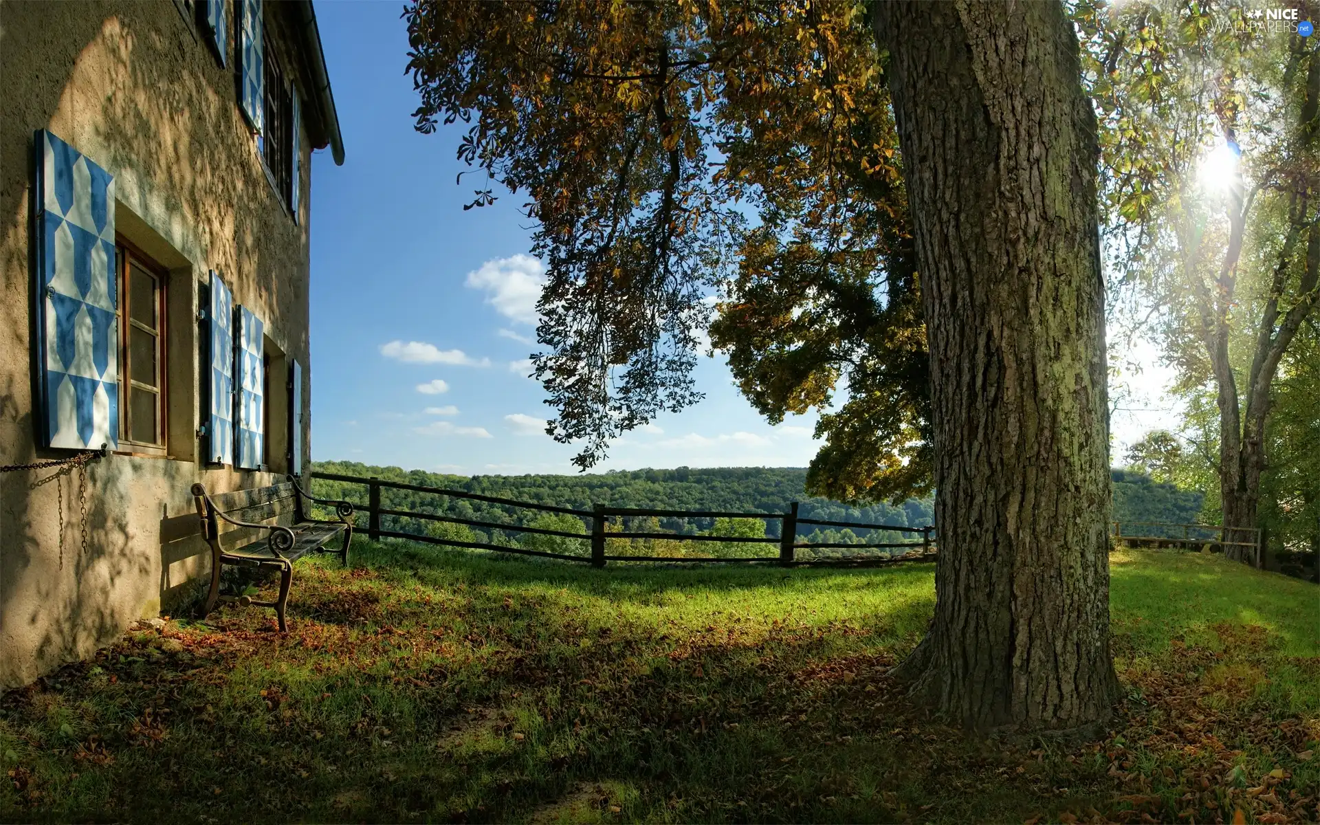 house, Bench, fence, trees