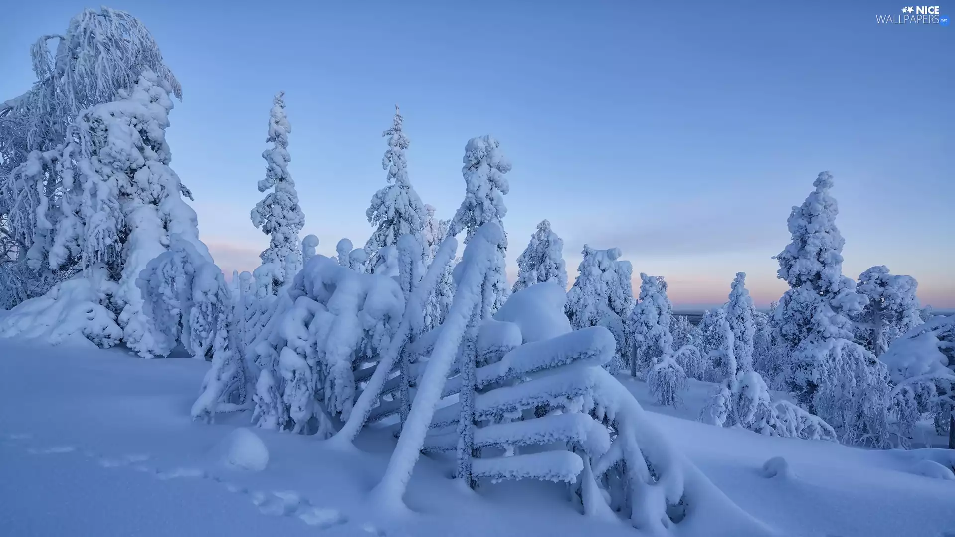 Snowy, winter, viewes, fence, trees, snow