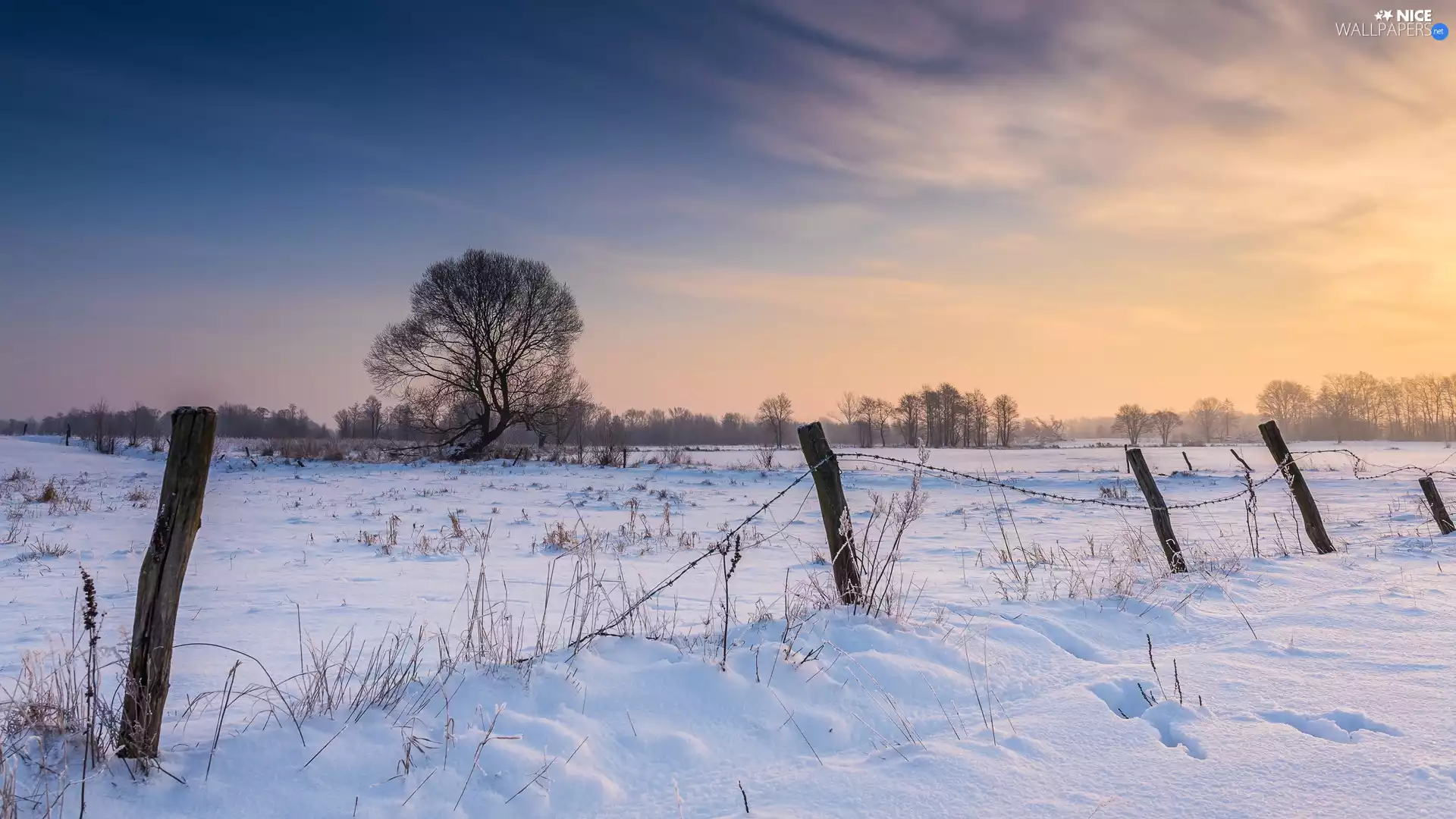 Sunrise, fence, trees, viewes, winter
