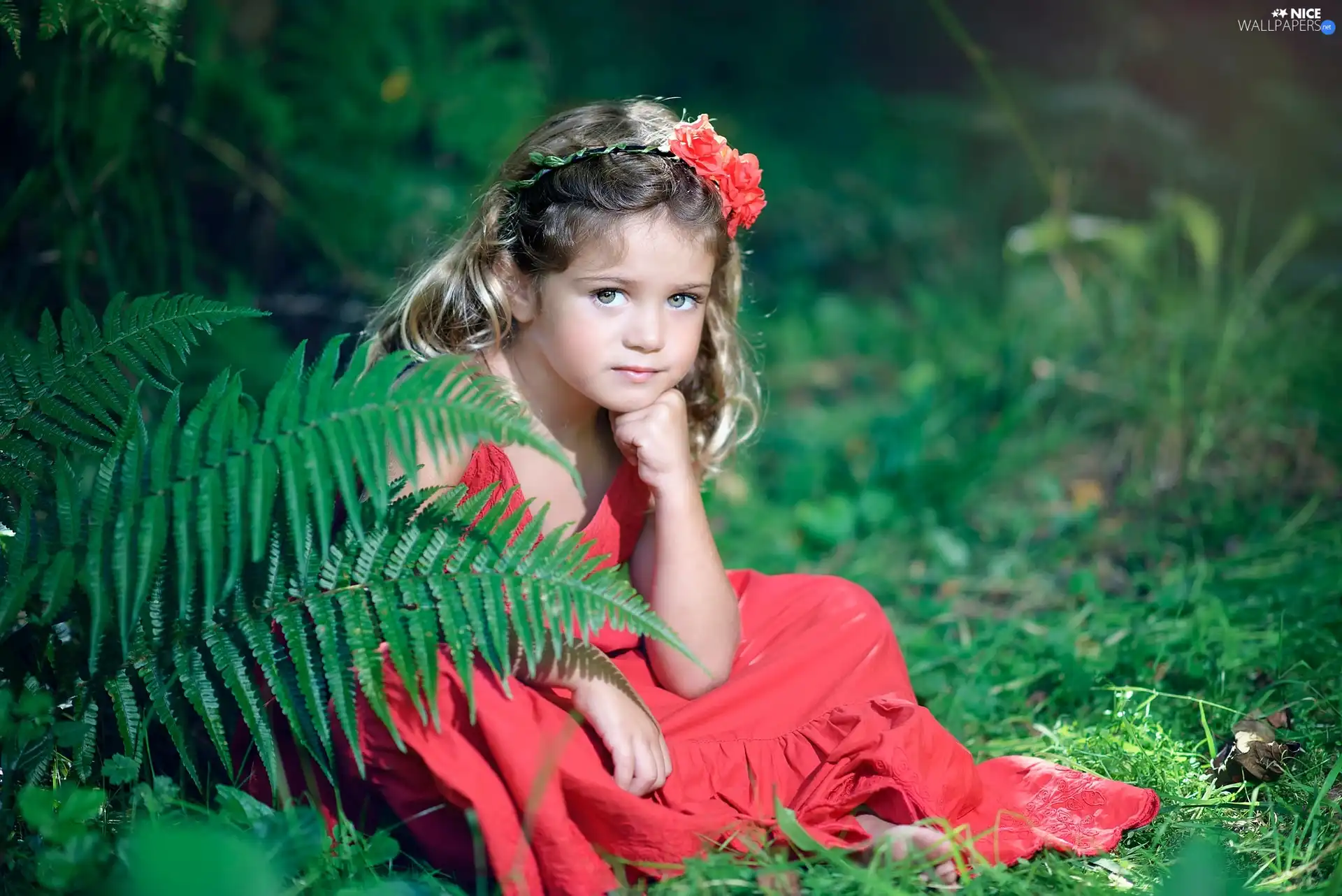 fern, Plants, red hot, dress, girl