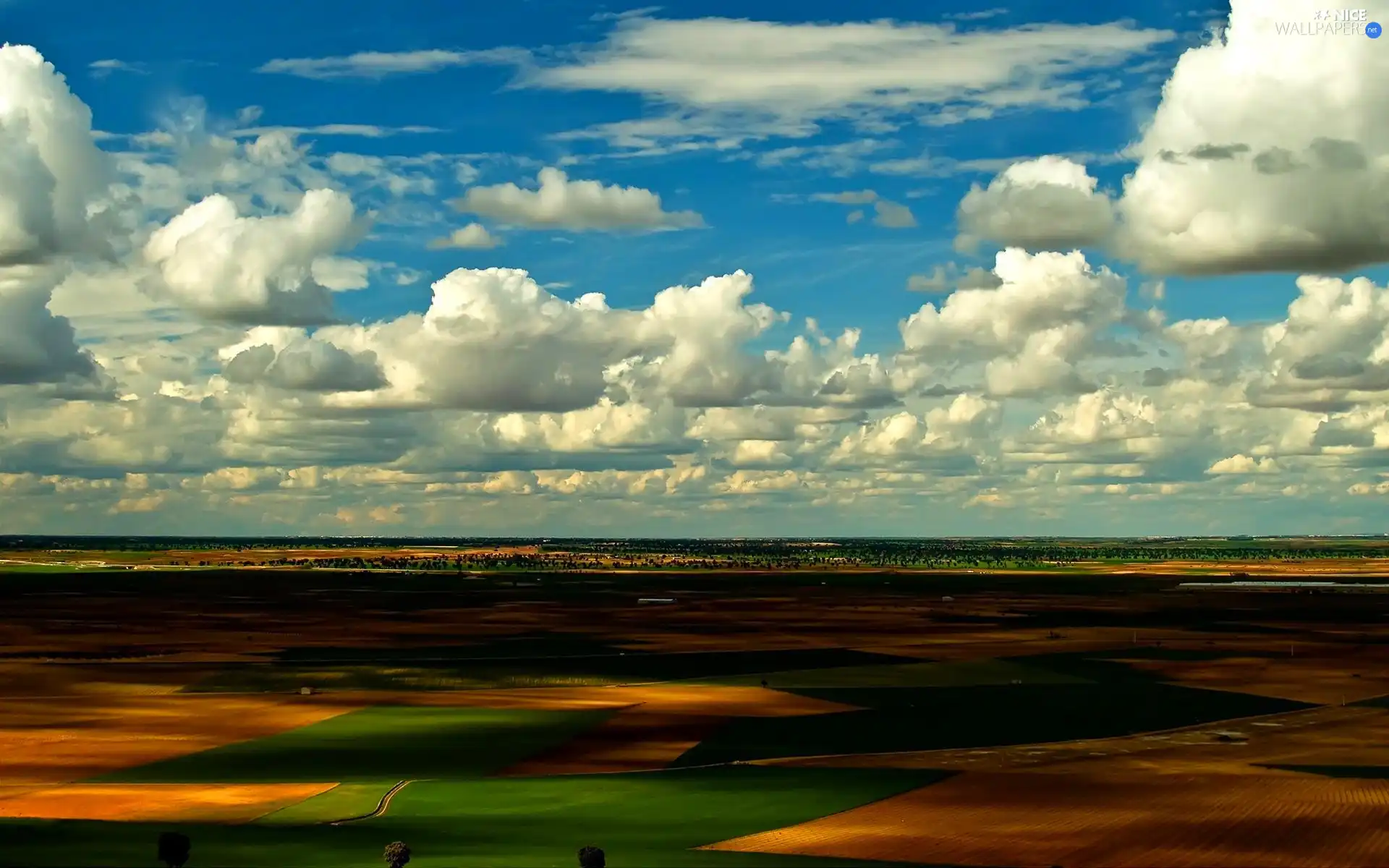 clouds, Field