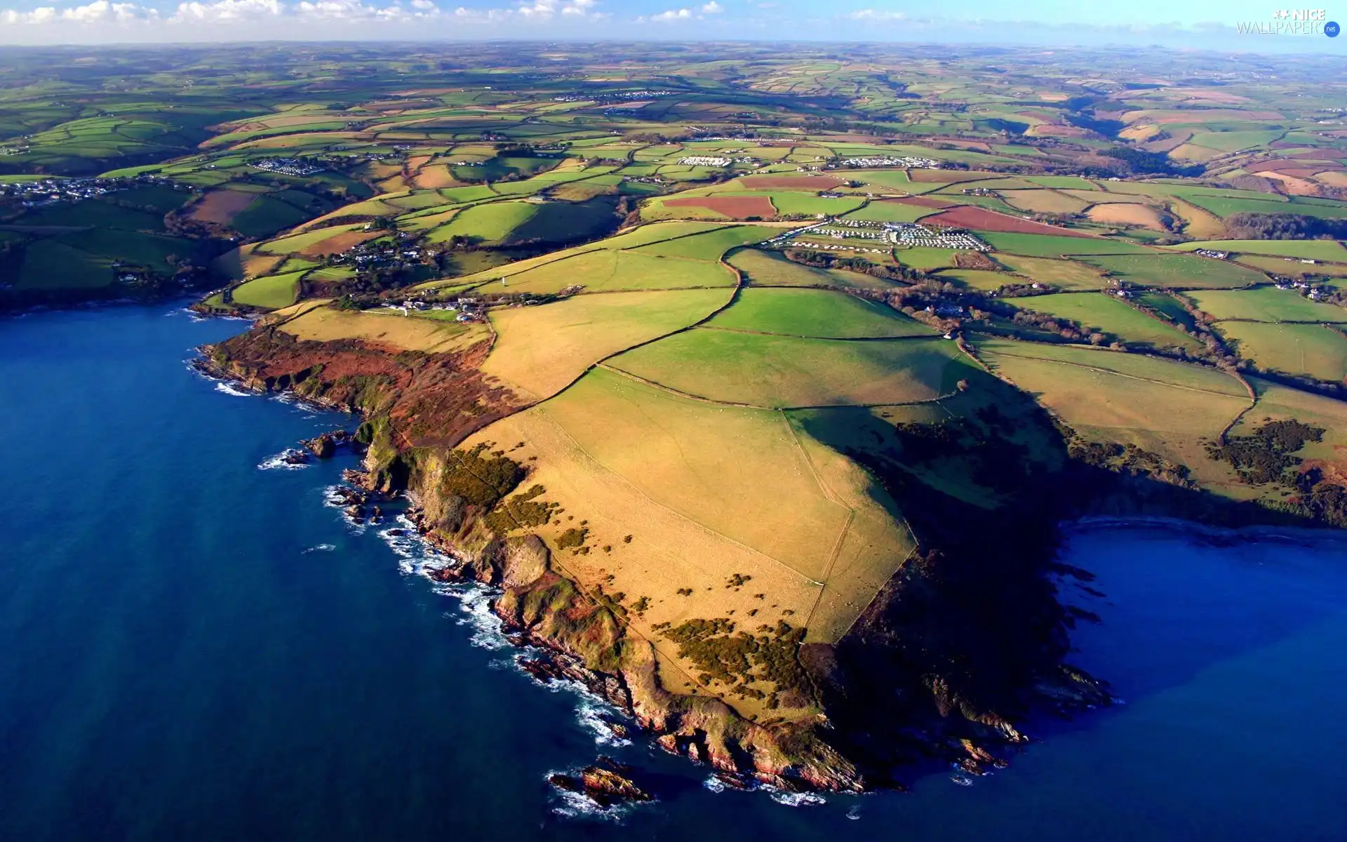 Coast, Cliffs, field, sea