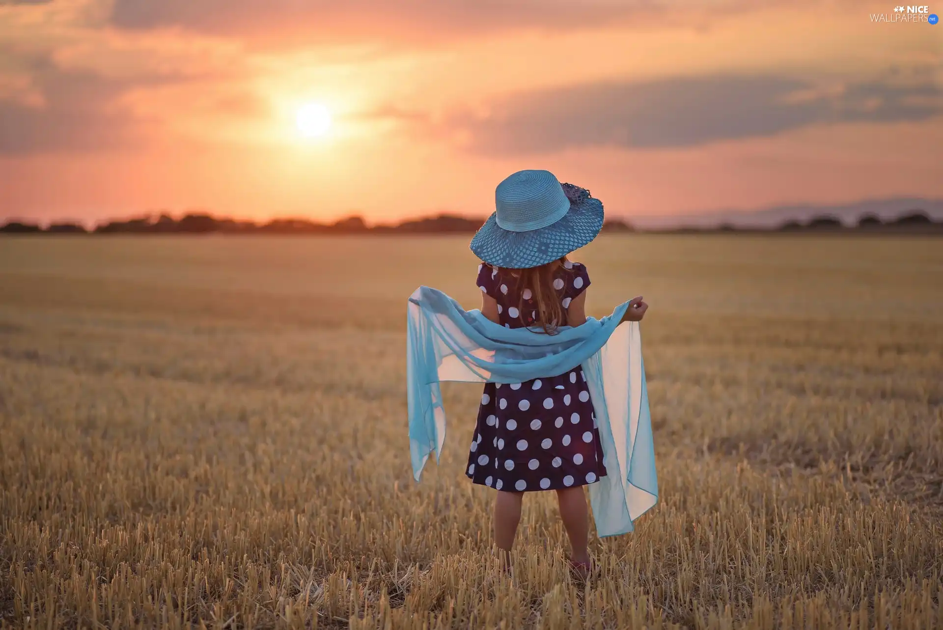 girl, Field, Great Sunsets, Hat