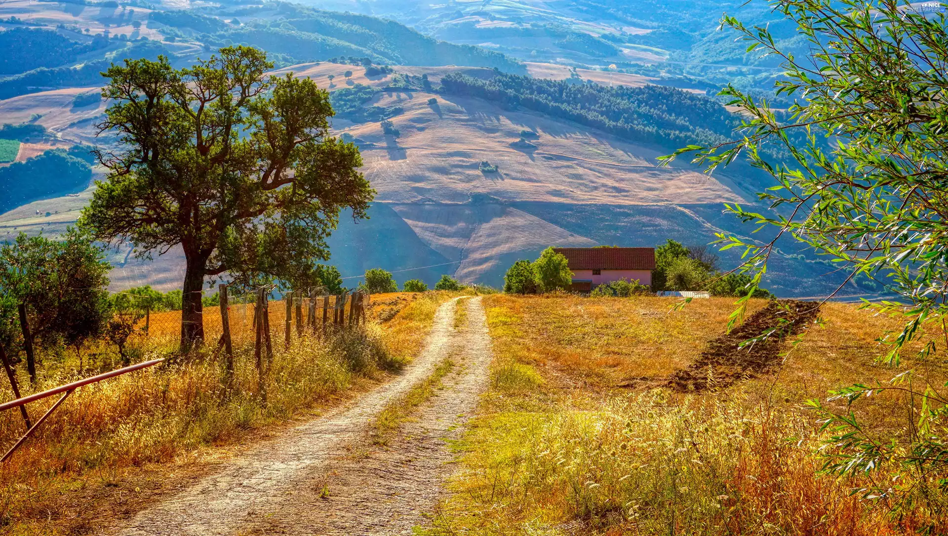 fence, trees, Mountains, viewes, house, Path, Way, field