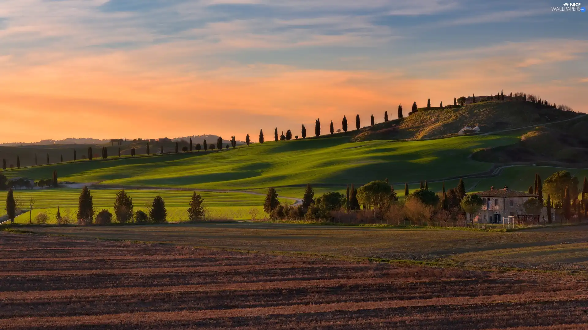 Houses, Tuscany, trees, summer, viewes, Italy, field, Sunrise, The Hills, cypresses