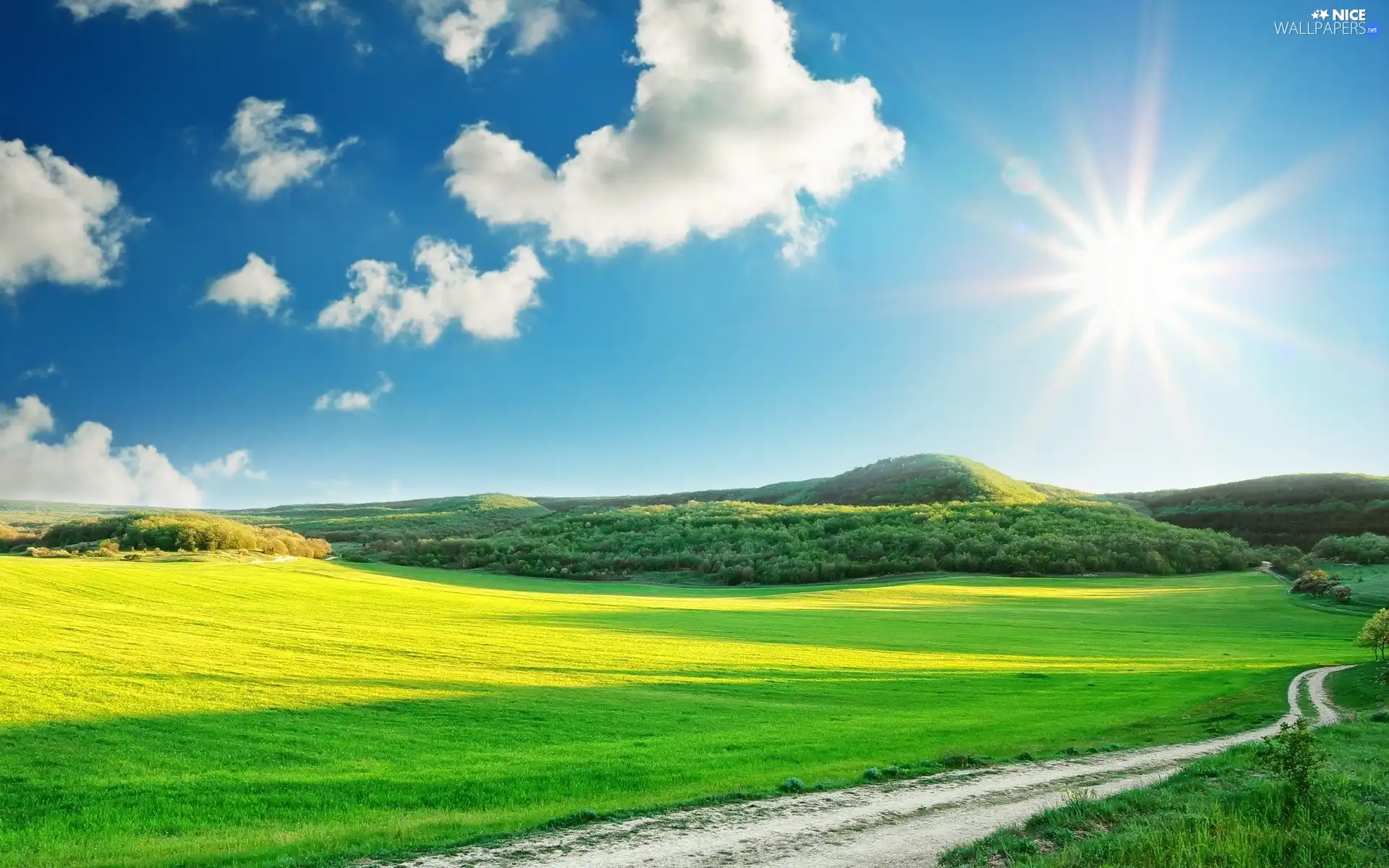 Field, Way, Sky, sun, Meadow