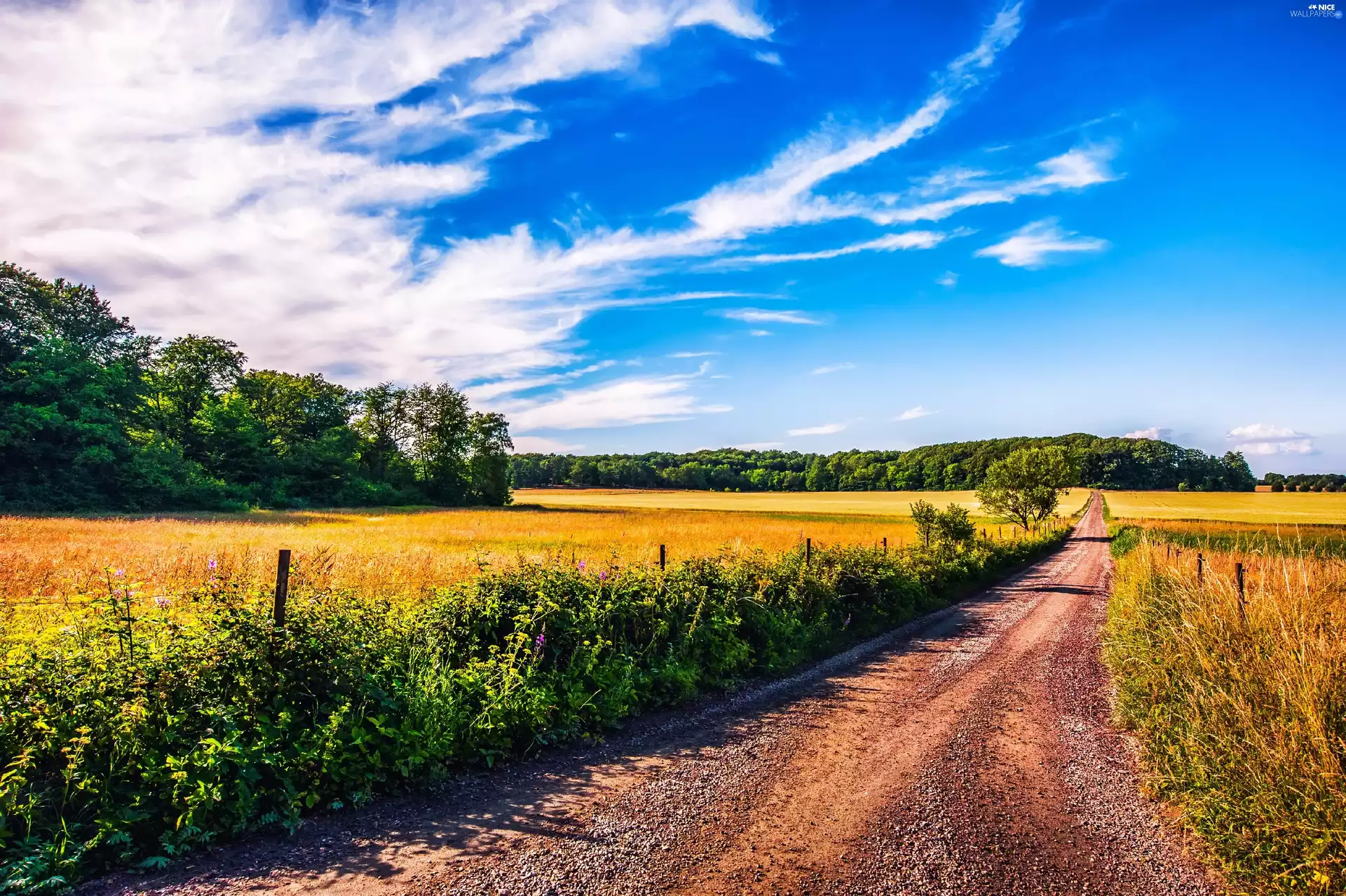 Way, Sky, summer, field