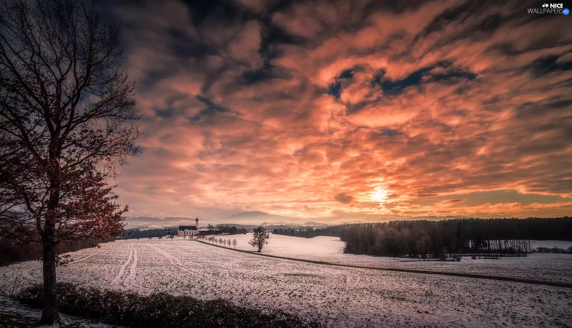 viewes, Great Sunsets, field, trees, winter