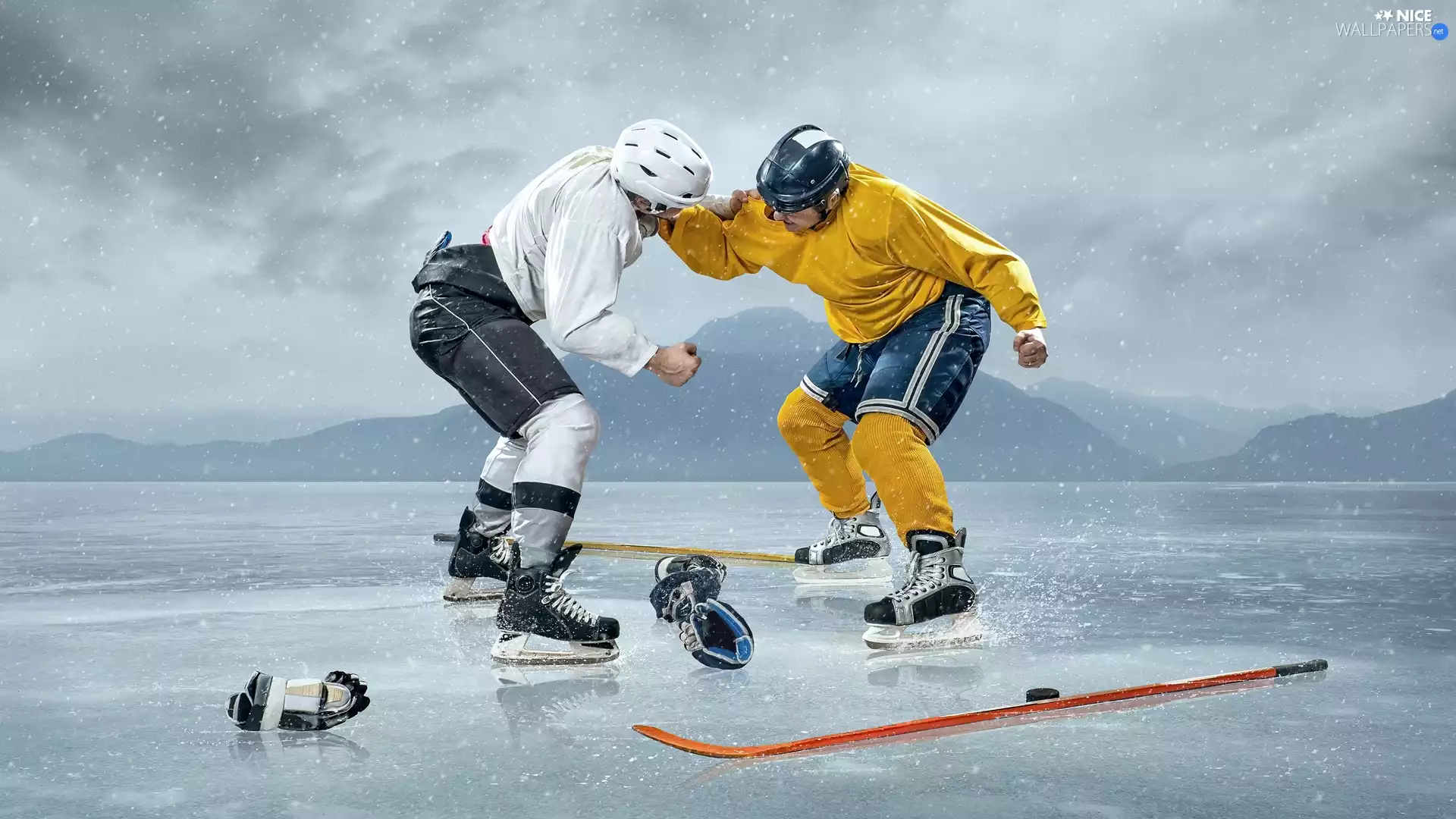 fight, hockey, players