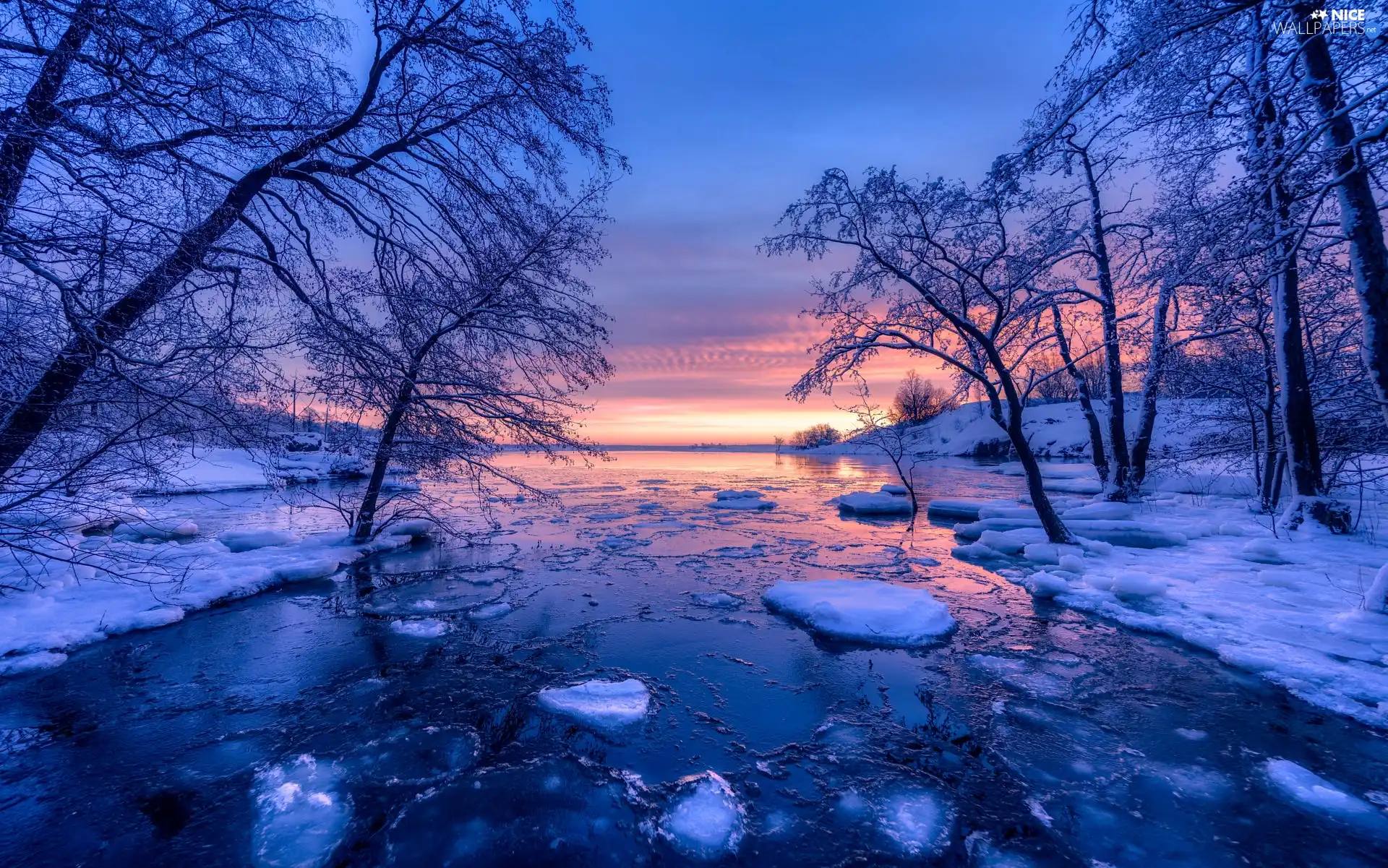 trees, winter, Sunrise, Finland, viewes, River