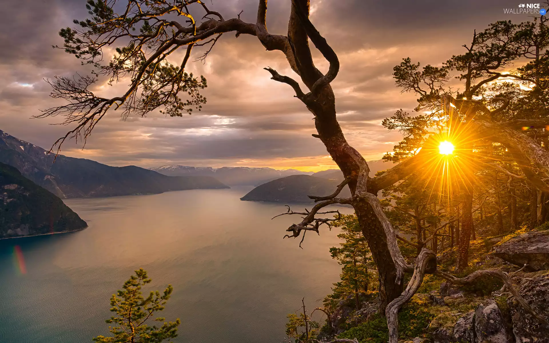 District of Sogn og Fjordane, Fiord Sognefjorden, Norway, trees, Mountains, trees, Great Sunsets, rays of the Sun, viewes