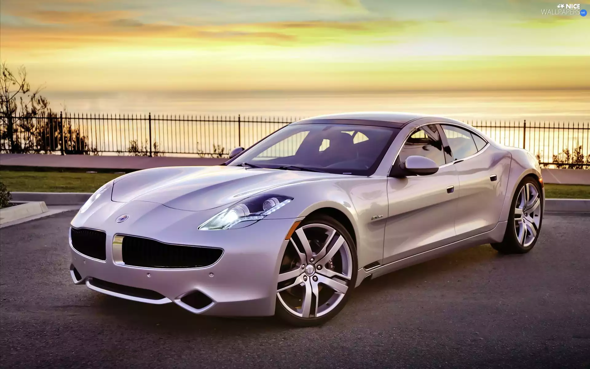 Fisker, fodder