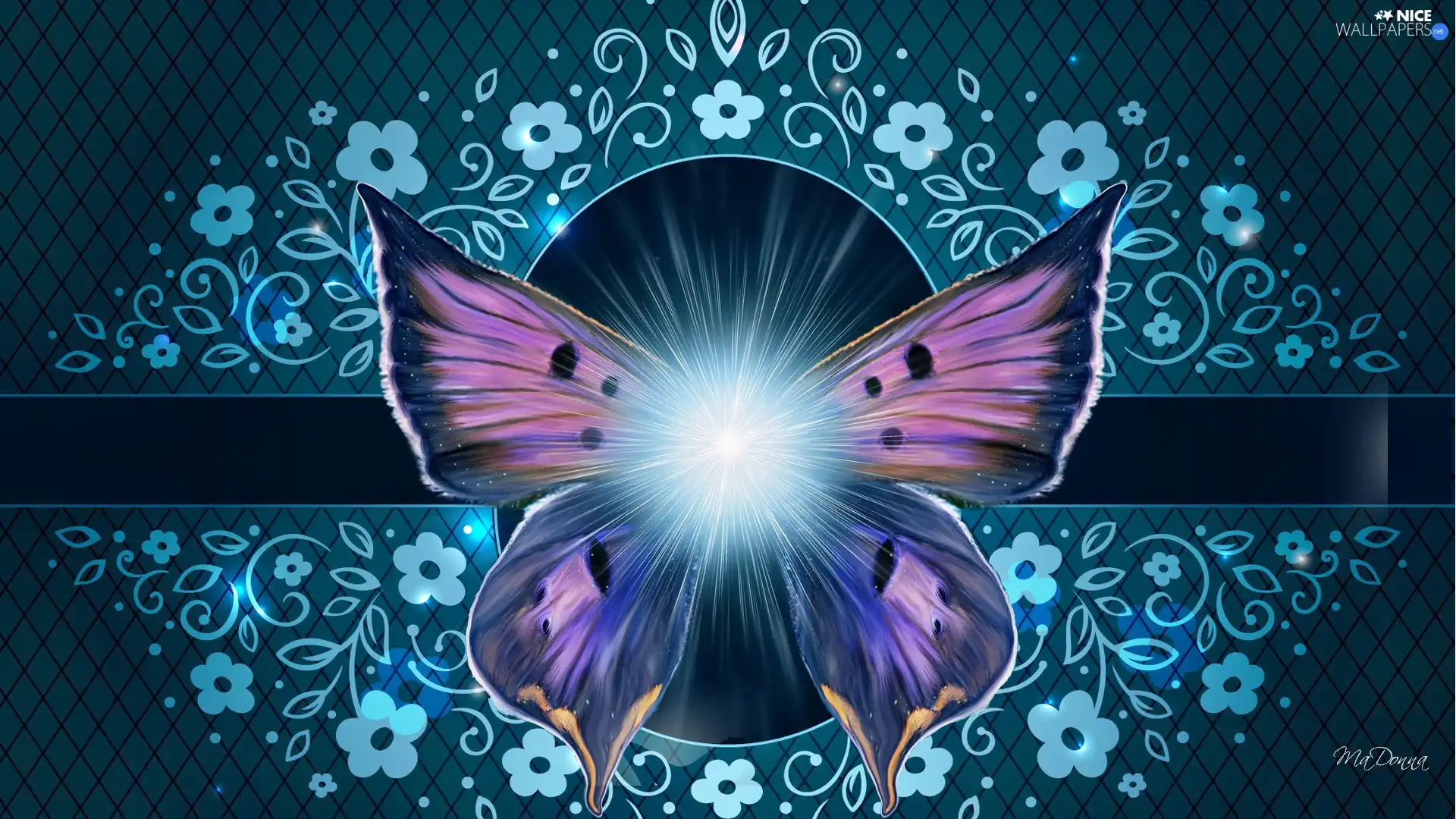 sun, butterfly, luminosity, ligh, Flowers, flash, graphics