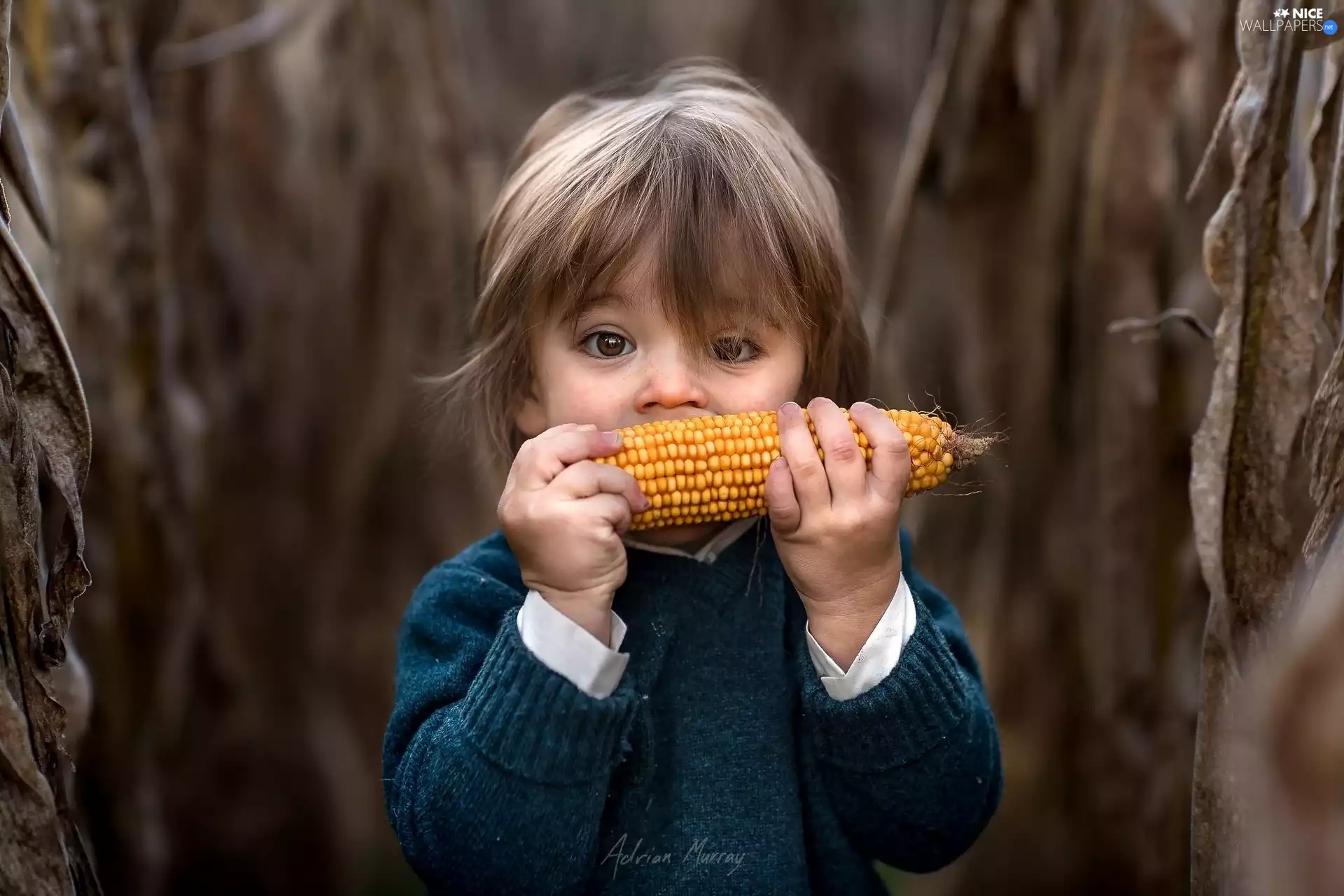 flask, Kid, corn