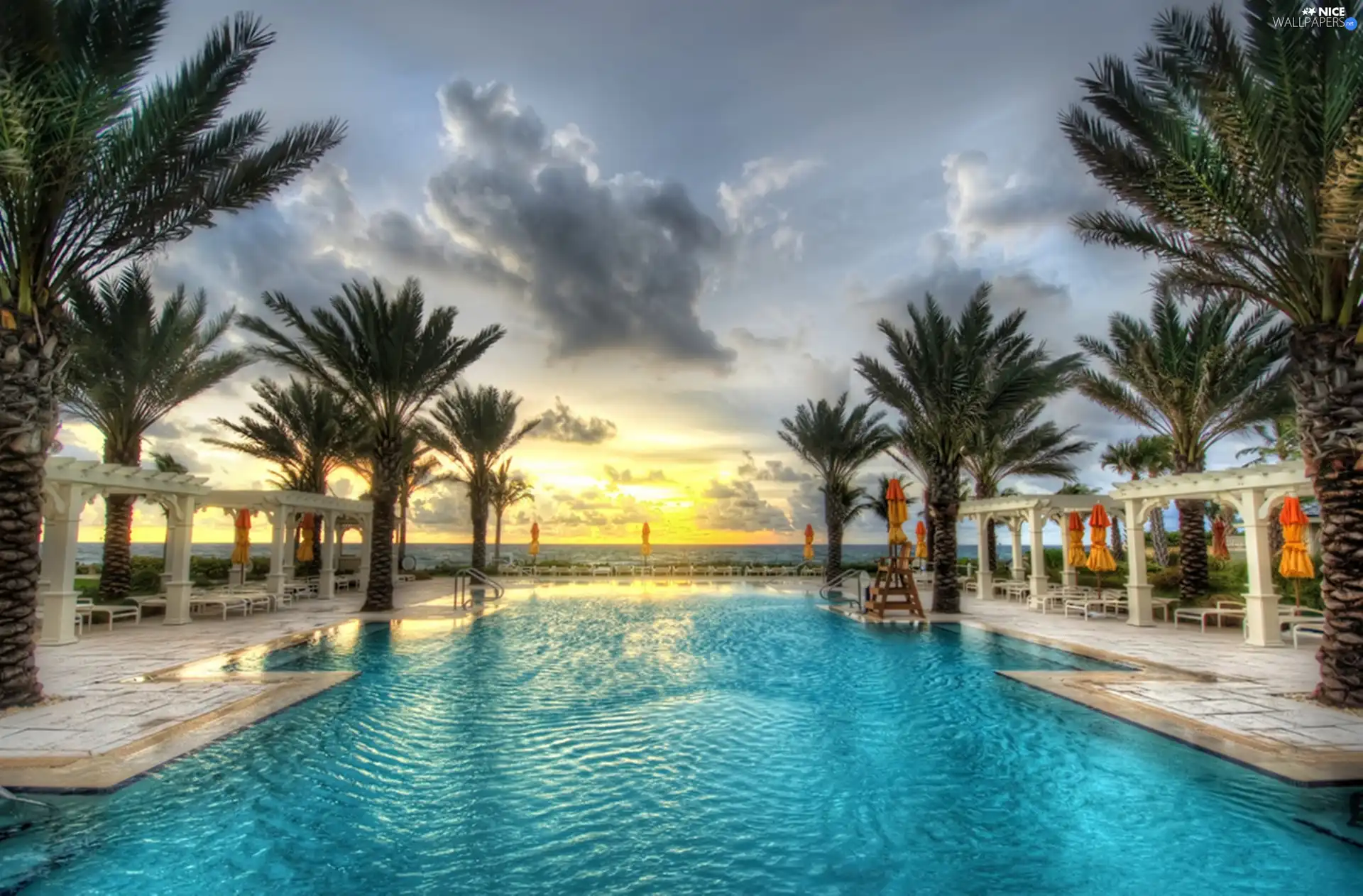 Floryda, USA, Palms, Palm Beach, Pool