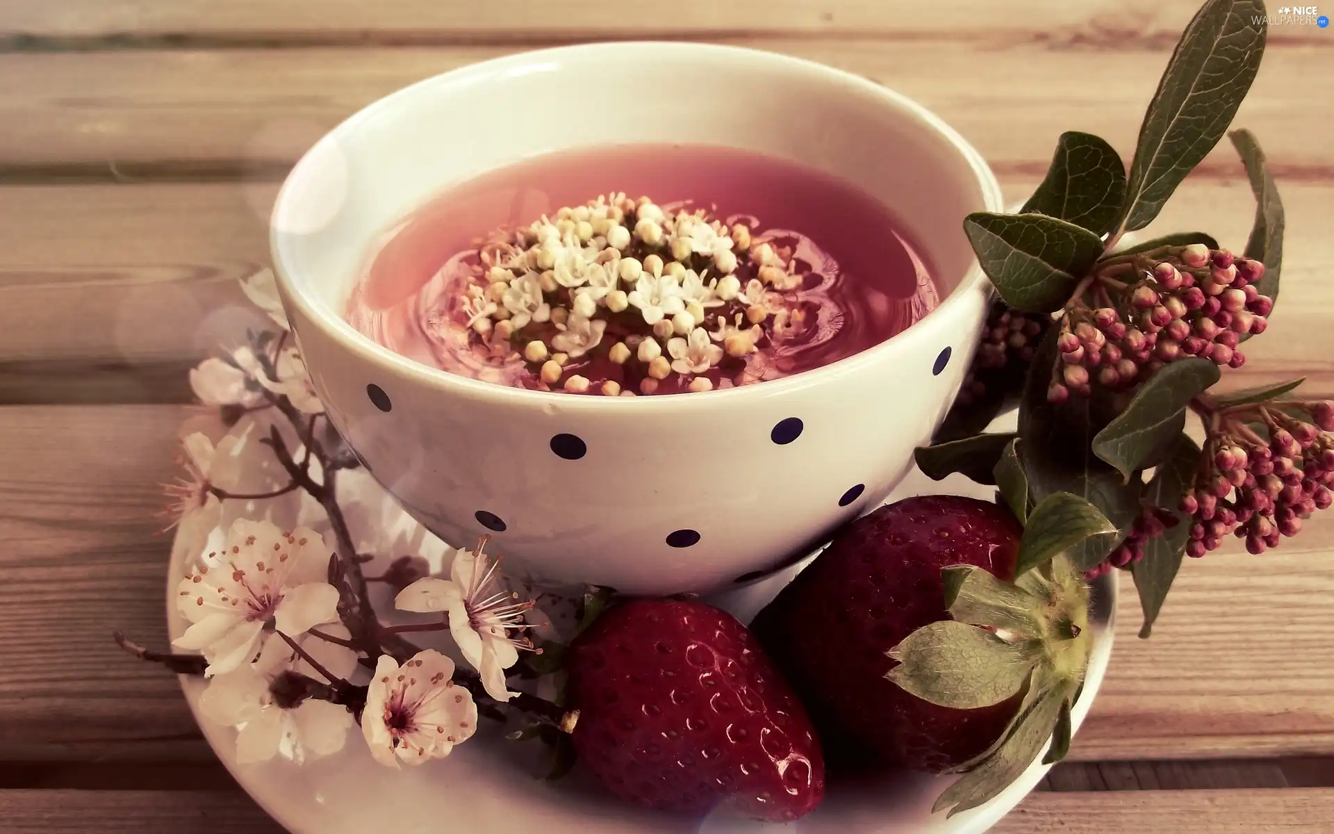 flourishing, Twigs, cup, tea, strawberries