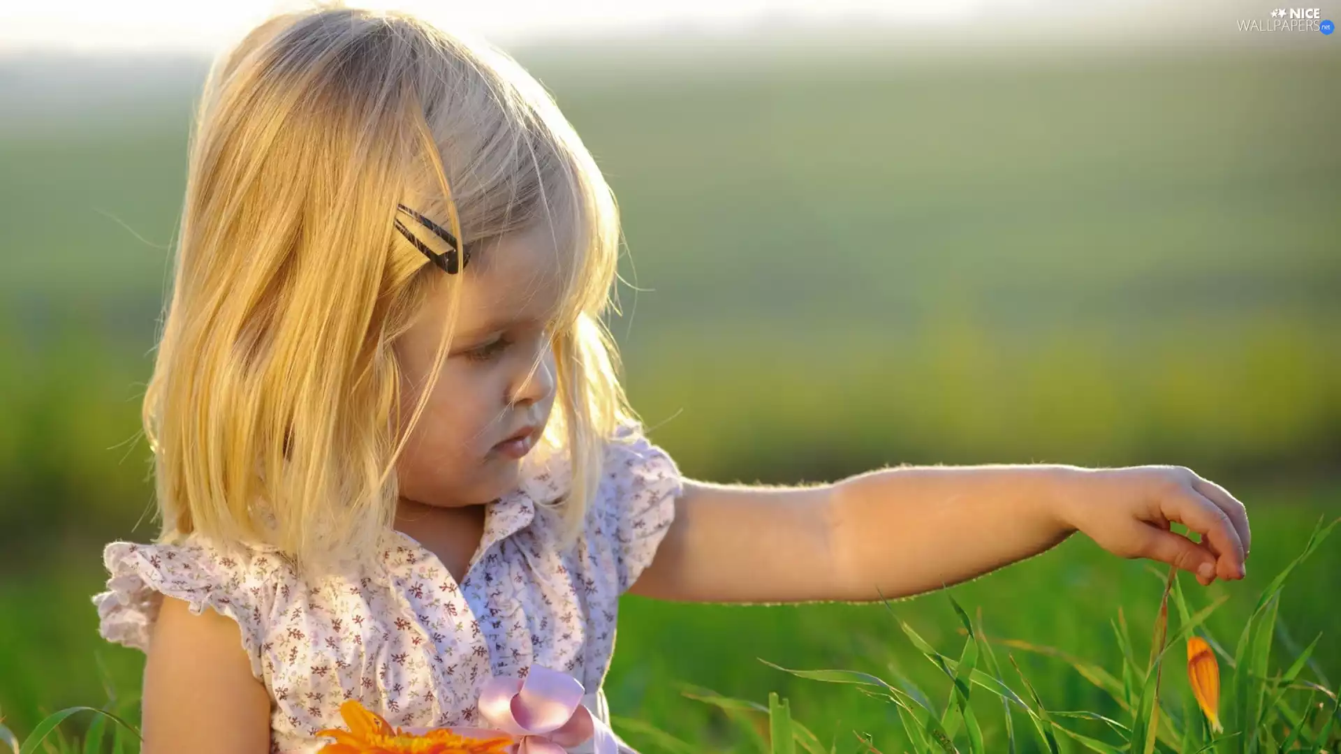 holdfast, Blonde, Meadow, Flower, grass, girl