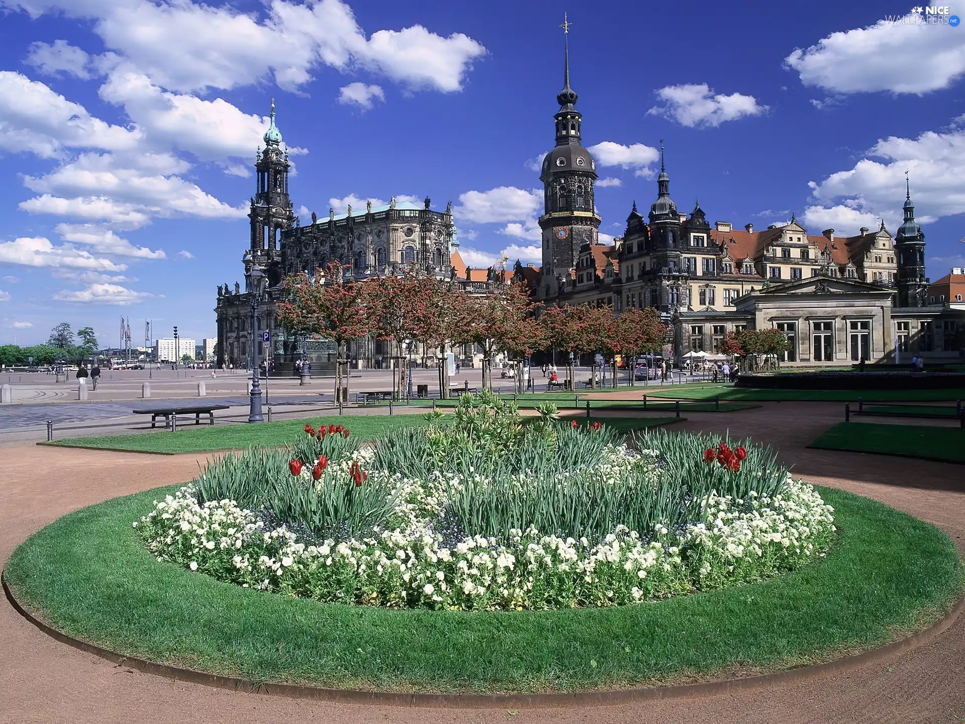 flowerbed, buildings, Germany, Theatre Square, Dresden