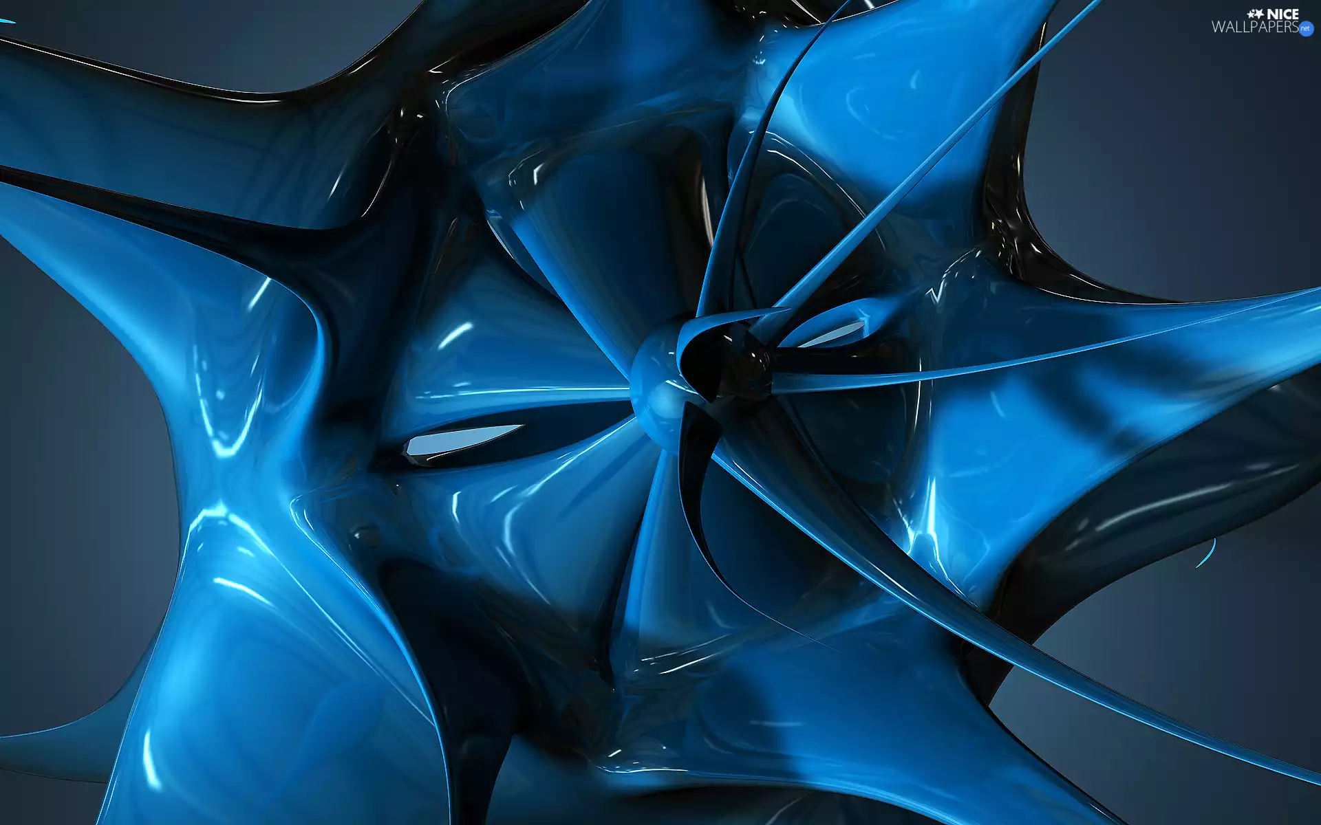 Colourfull Flowers, 3D Graphics, blue