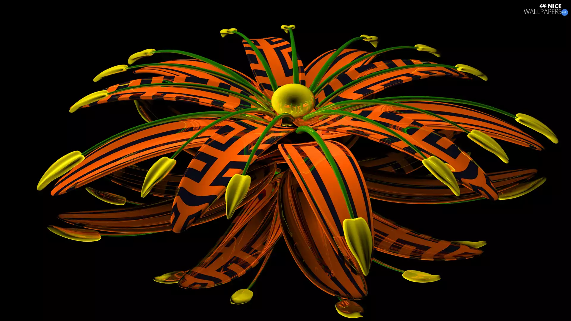 Colourfull Flowers, 3D Graphics, Orange