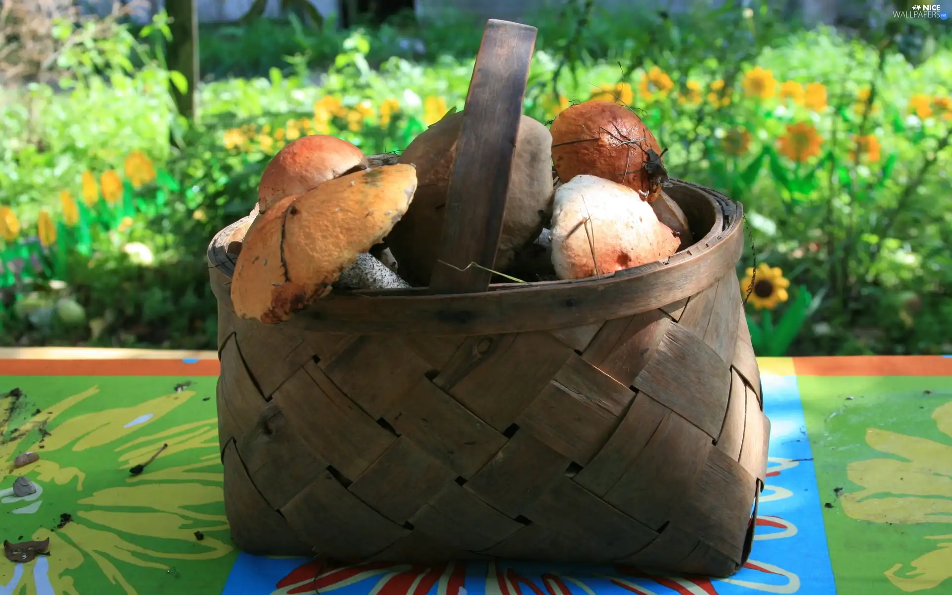 Flowers, mushrooms, basket