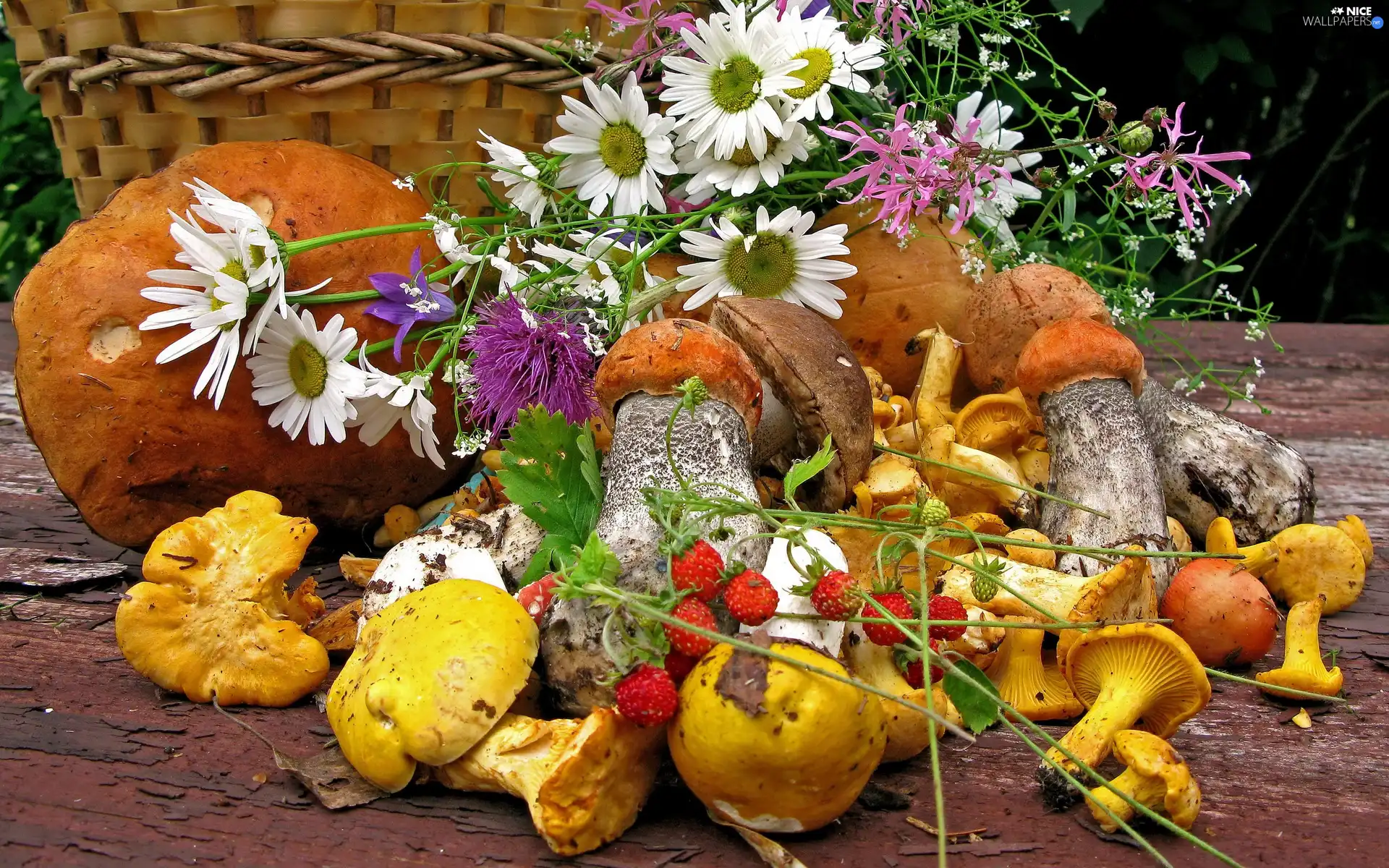 Flowers, mushrooms, basket