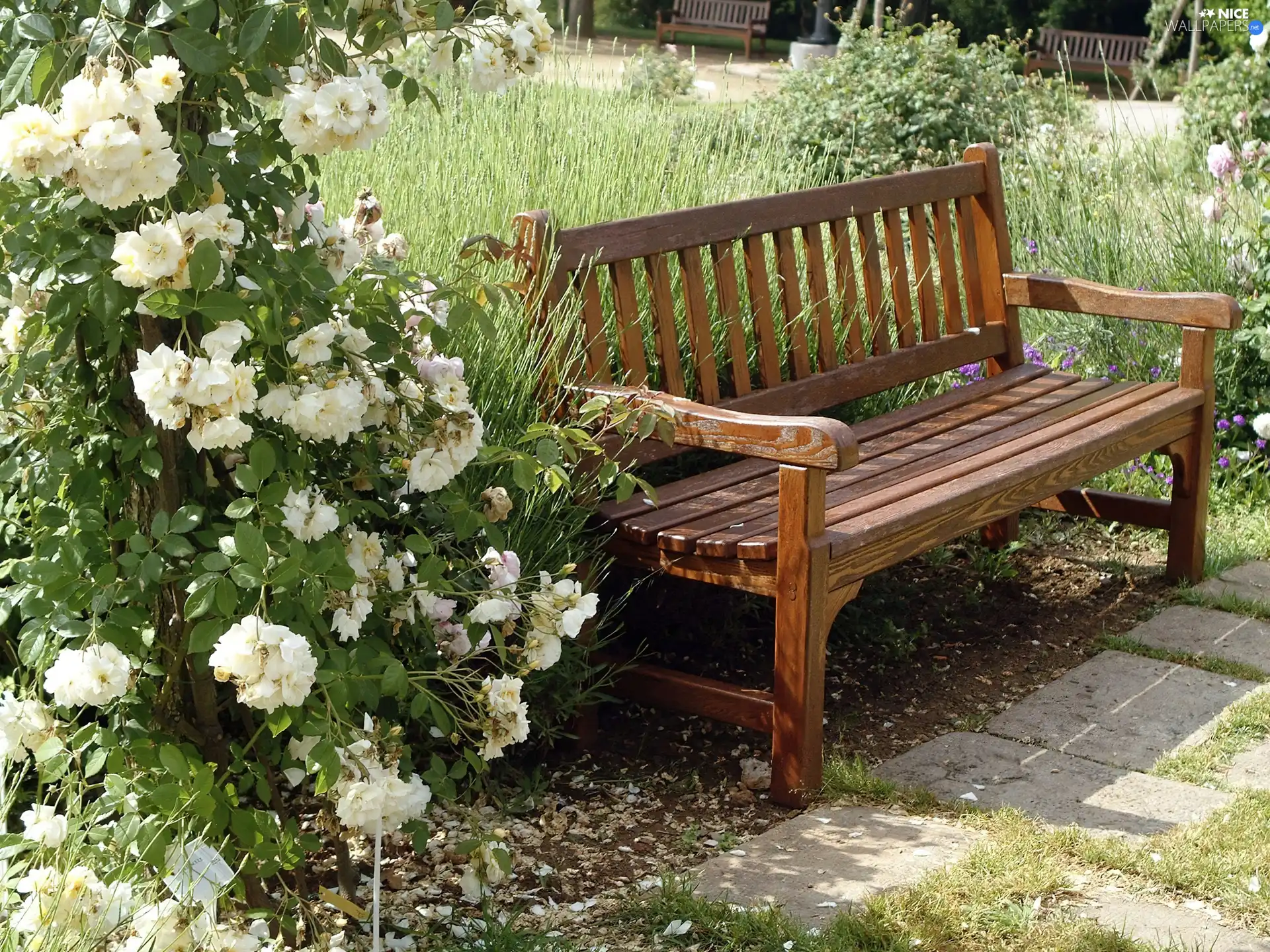 Flowers, Park, Bench