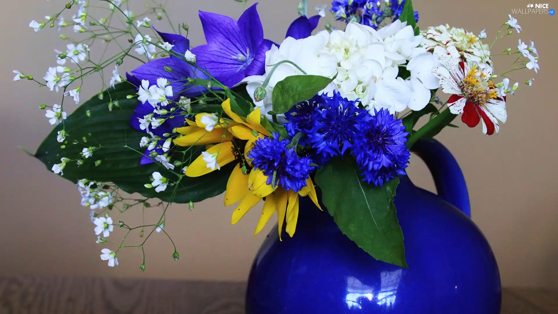 blue, color, Flowers, bowl
