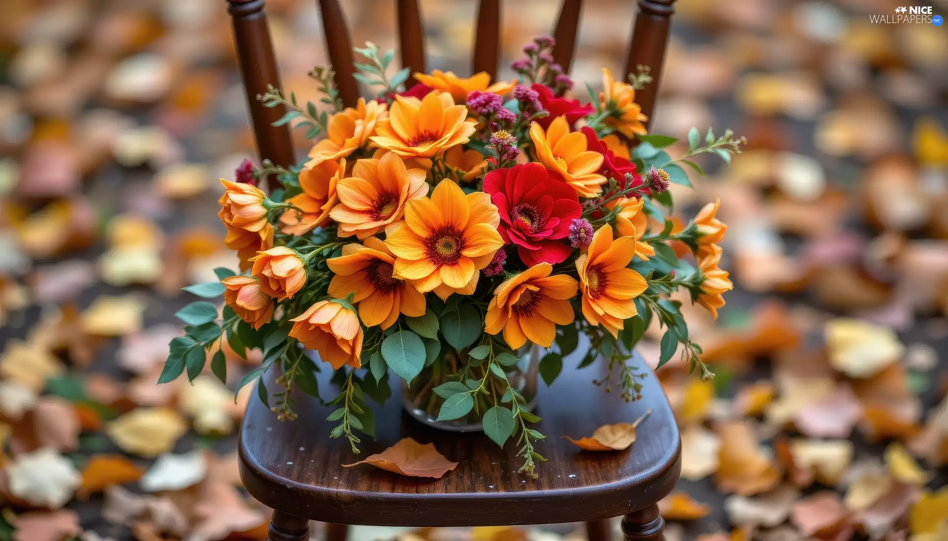 bouquet, Chair, Leaf, Flowers