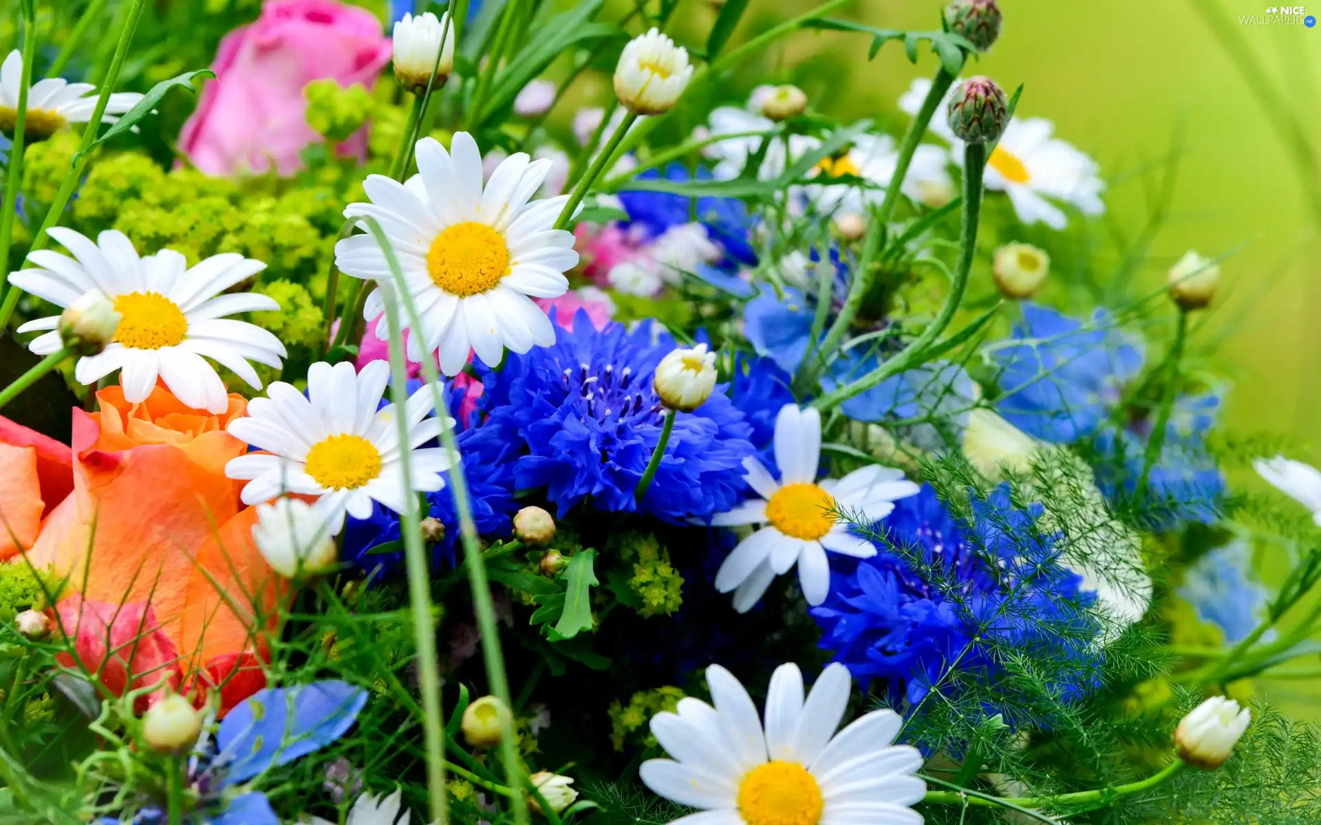 bouquet, flowers