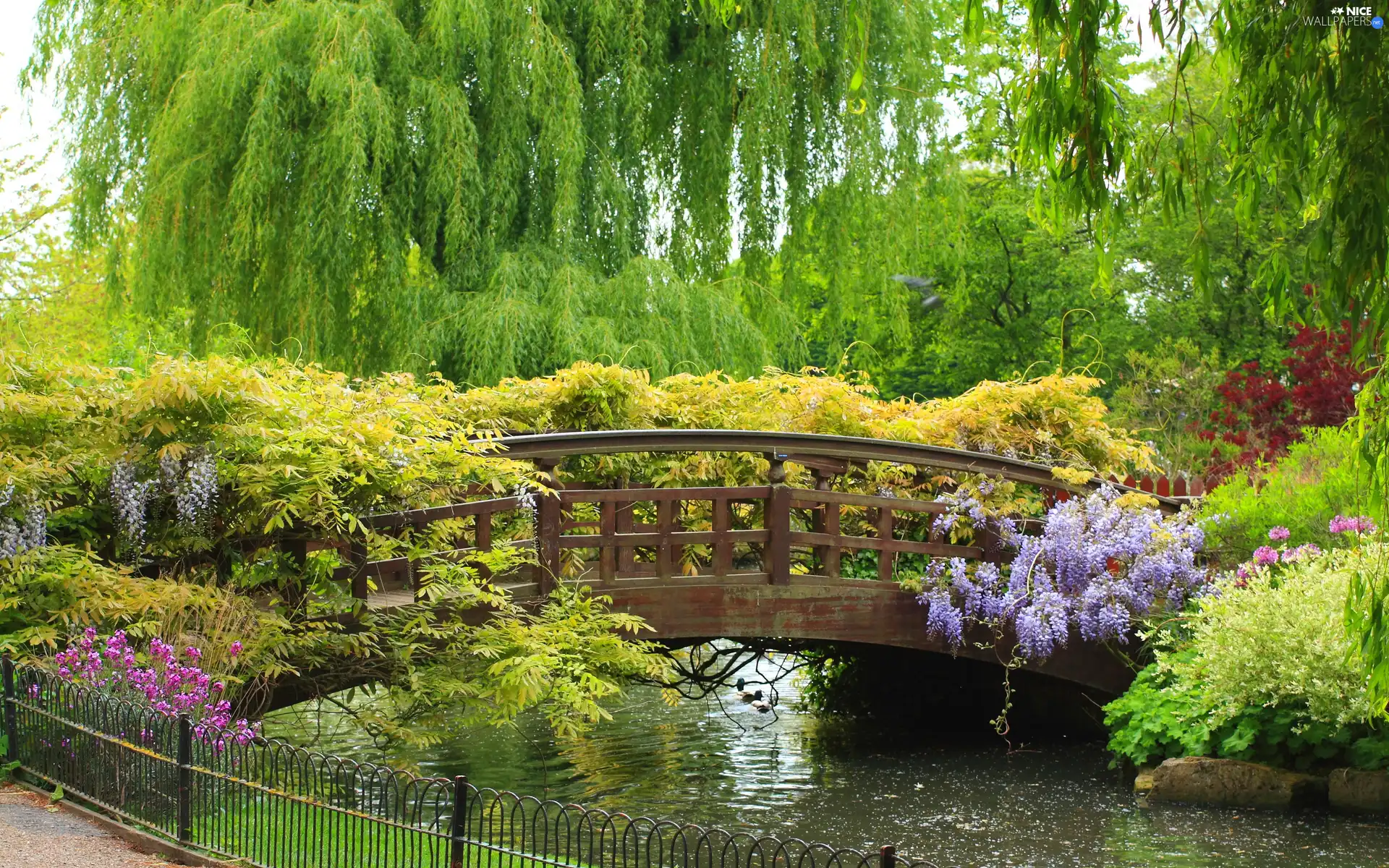 Flowers, brook, bridges