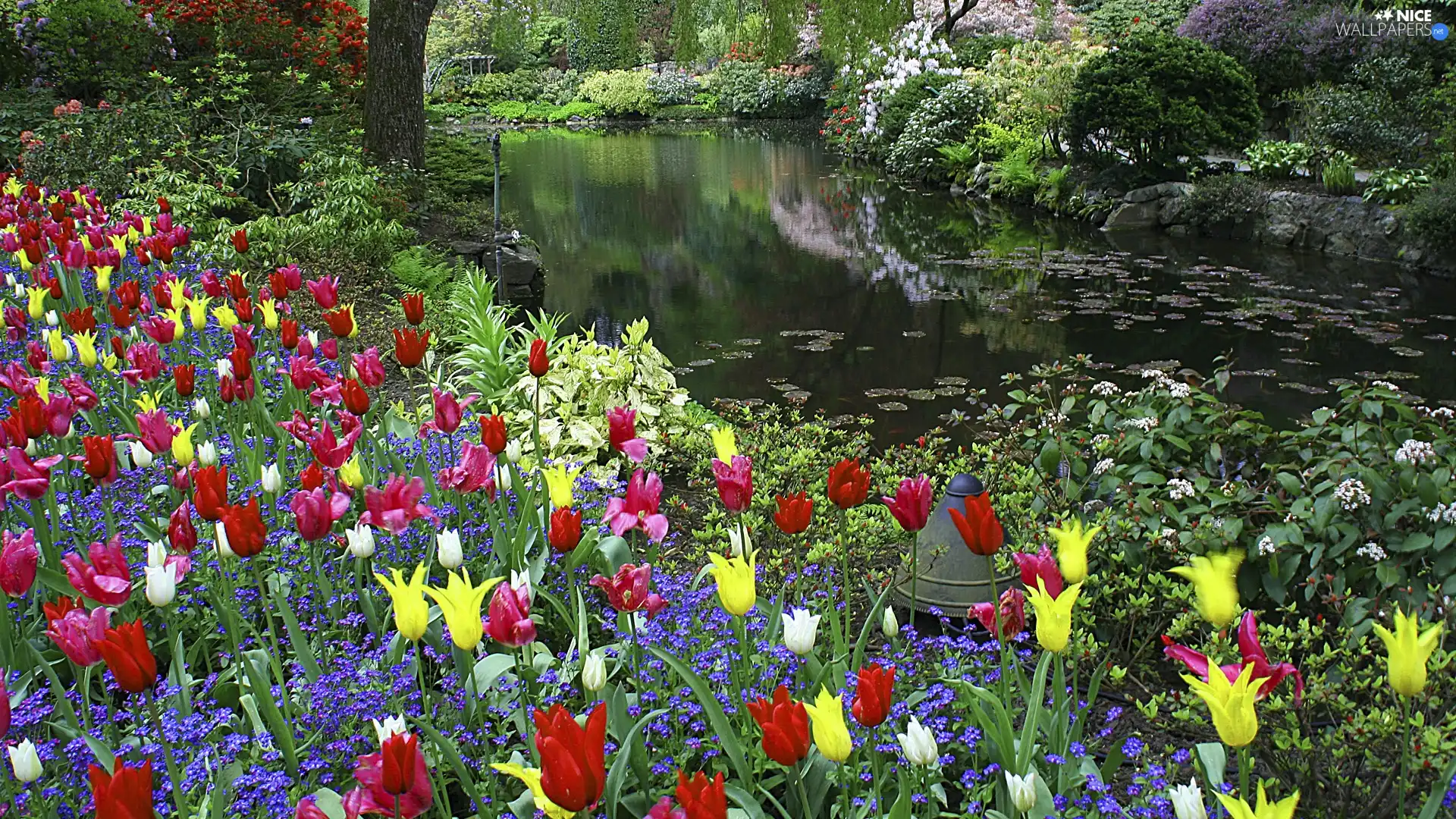 Flowers, Park, brook